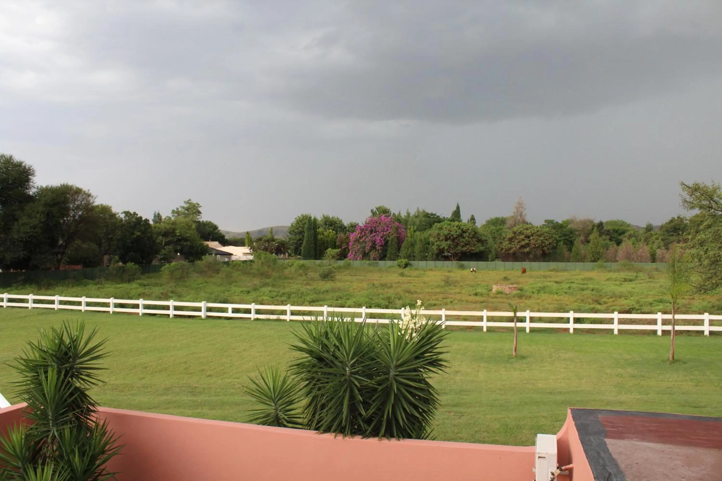 View (from property/room) in El Gran Chaparral Guest House