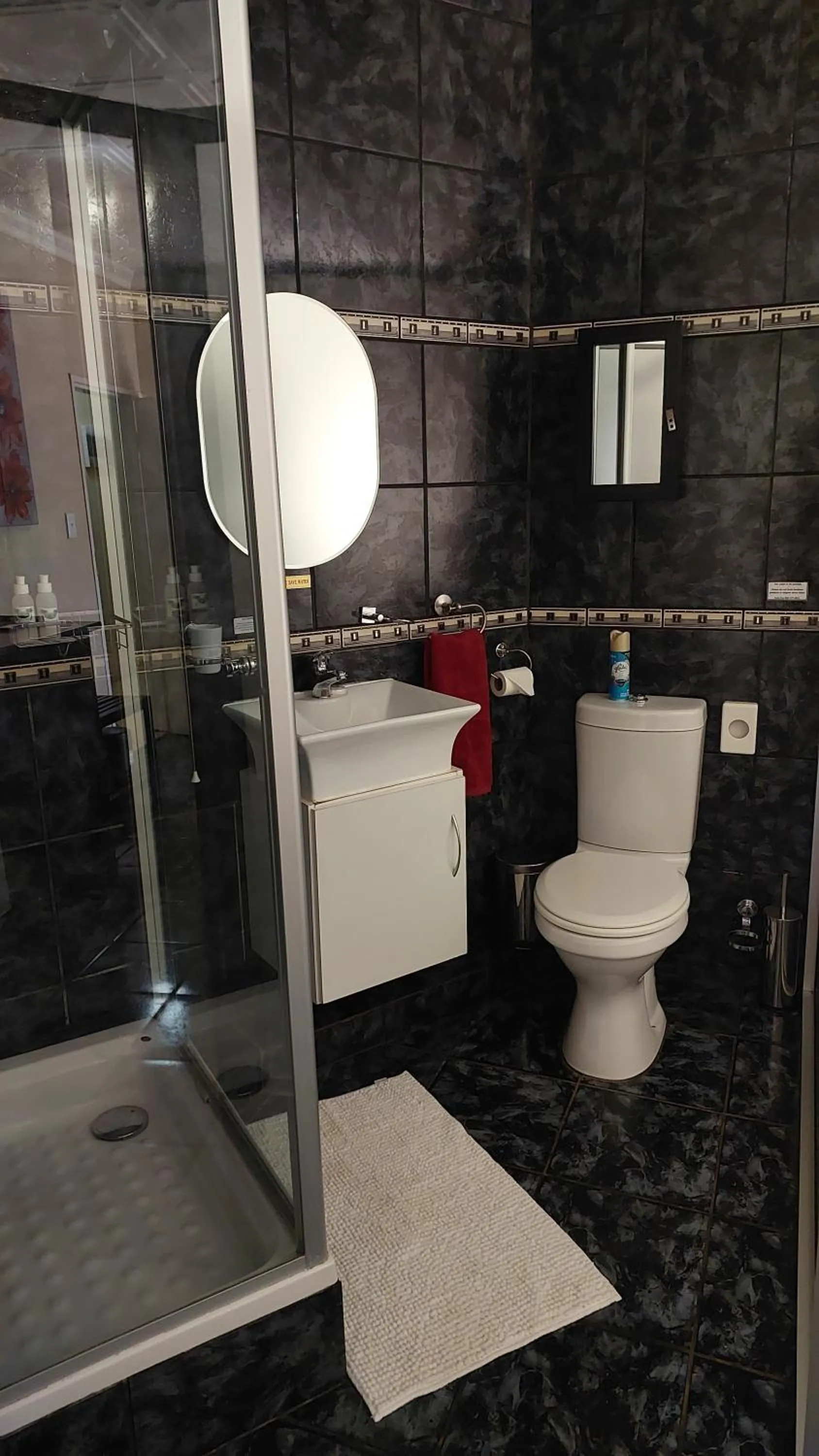 Bathroom in El Gran Chaparral Guest House