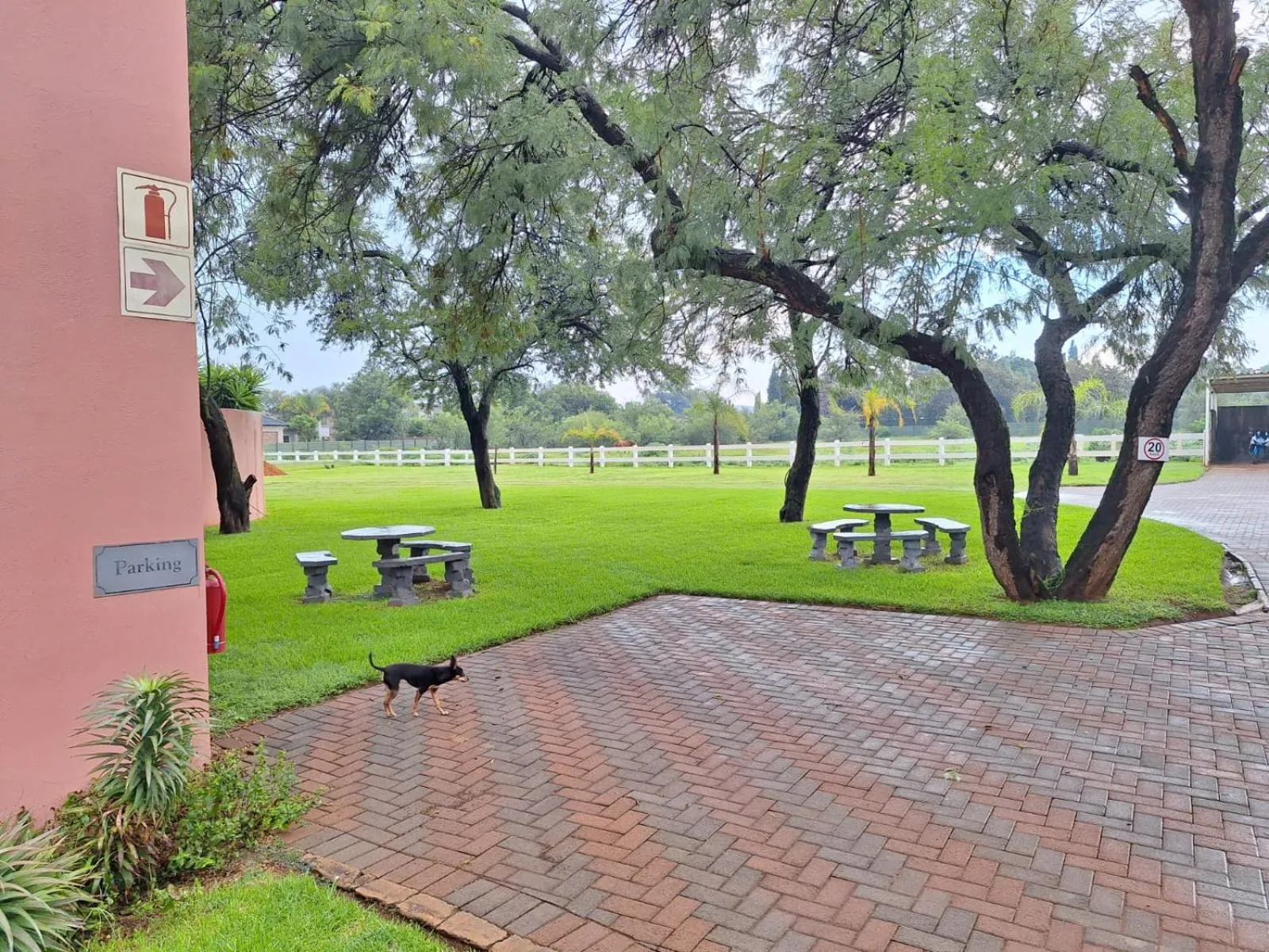 Garden in El Gran Chaparral Guest House