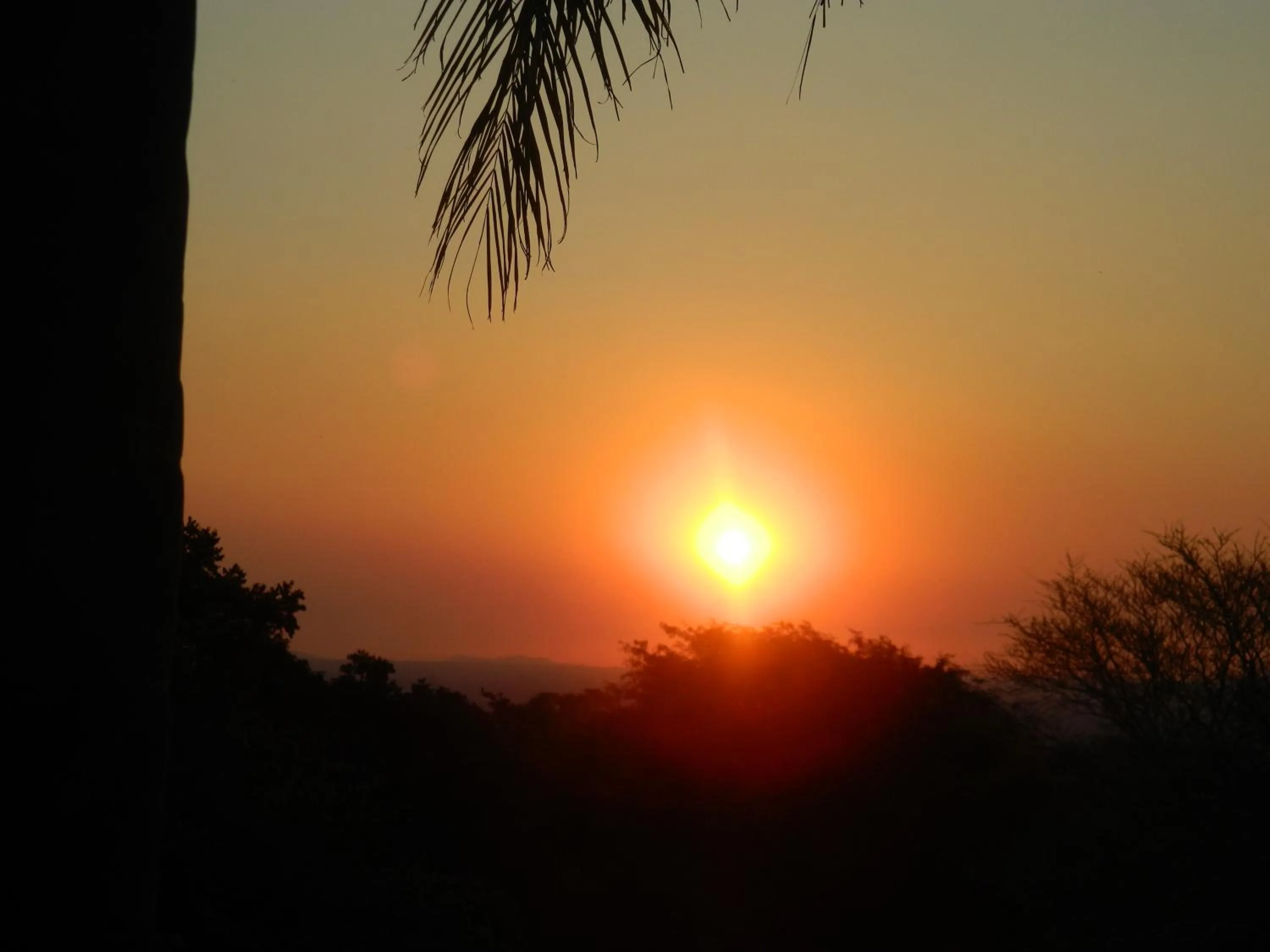 Natural landscape in Edelweiss Corporate Guest House