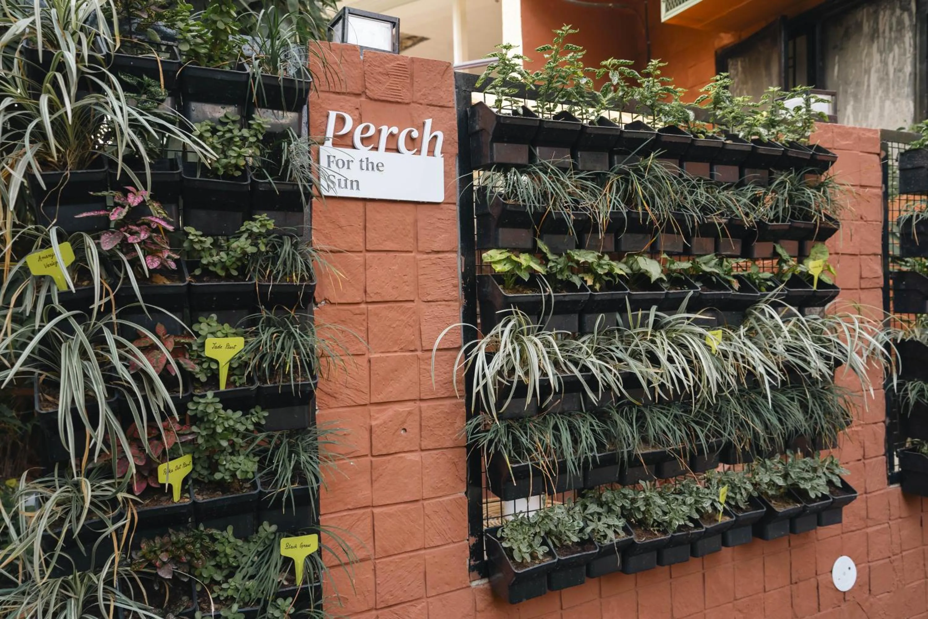 Garden in Firebrick Boutique Residences - GARNET HOUSE