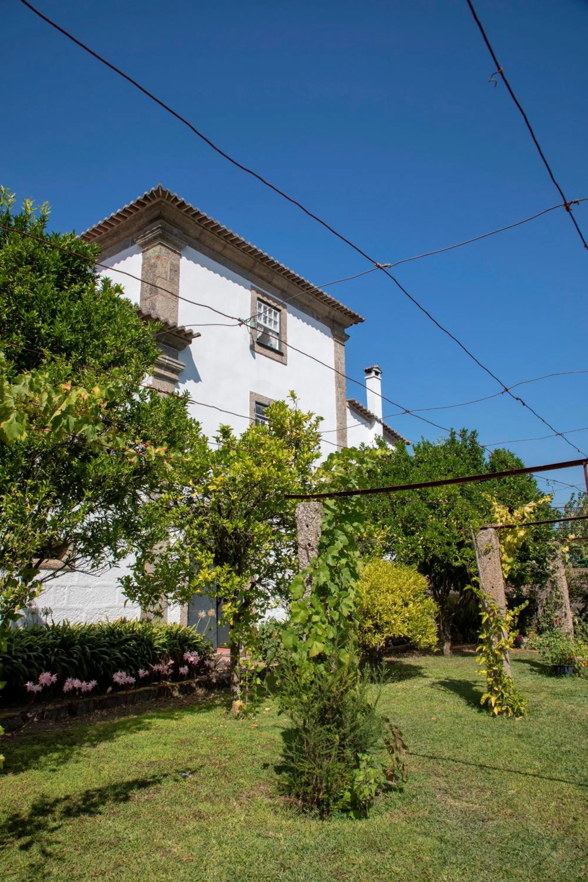 Garden in Casa do Ribeiro