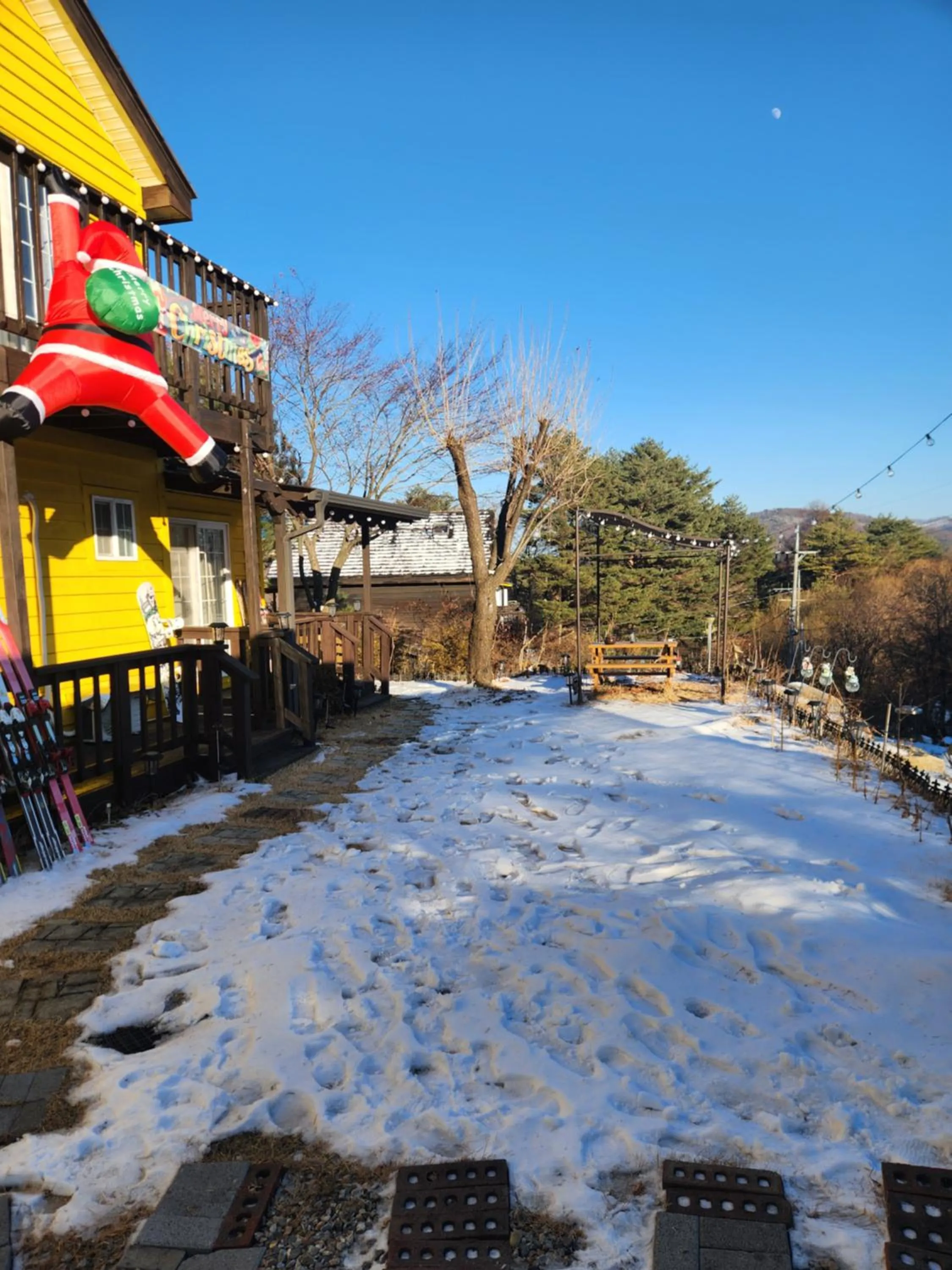 Honey Bear Pension