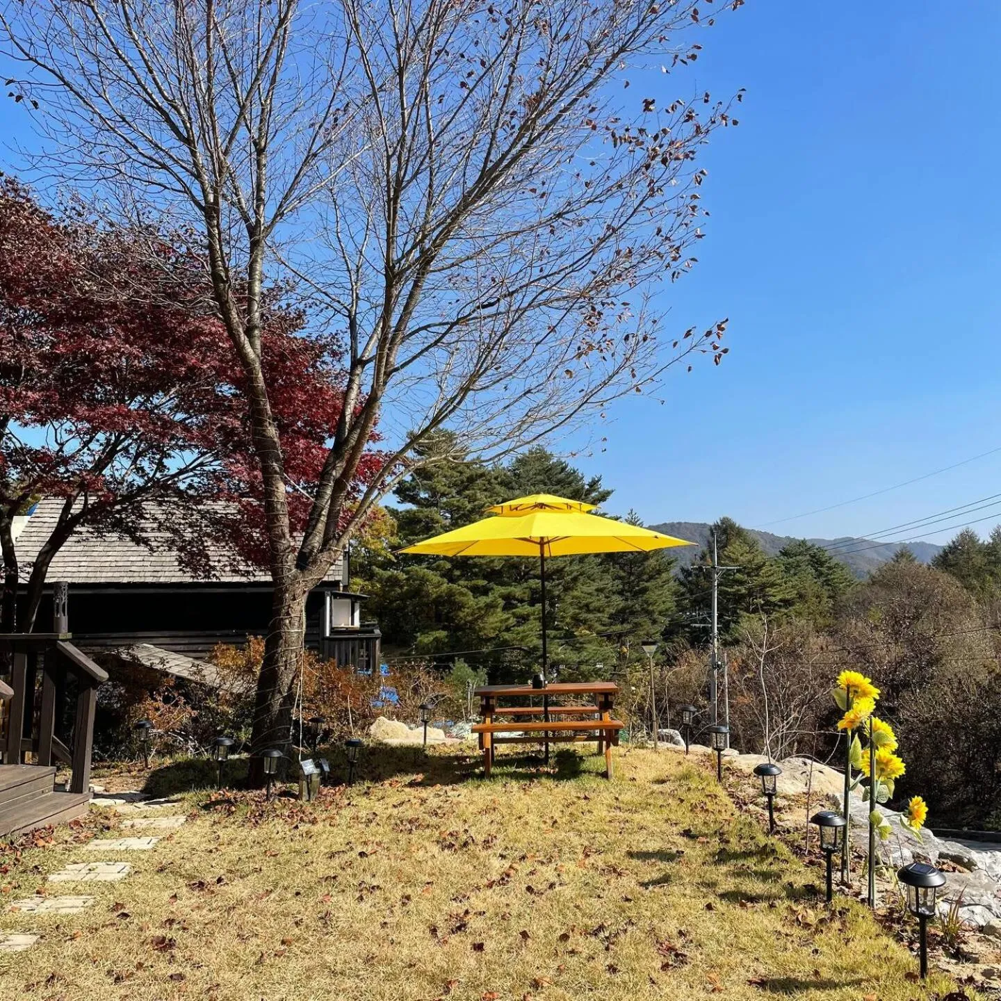 Garden in Honey Bear Pension