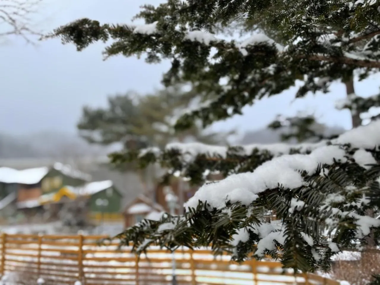Natural landscape in Honey Bear Pension