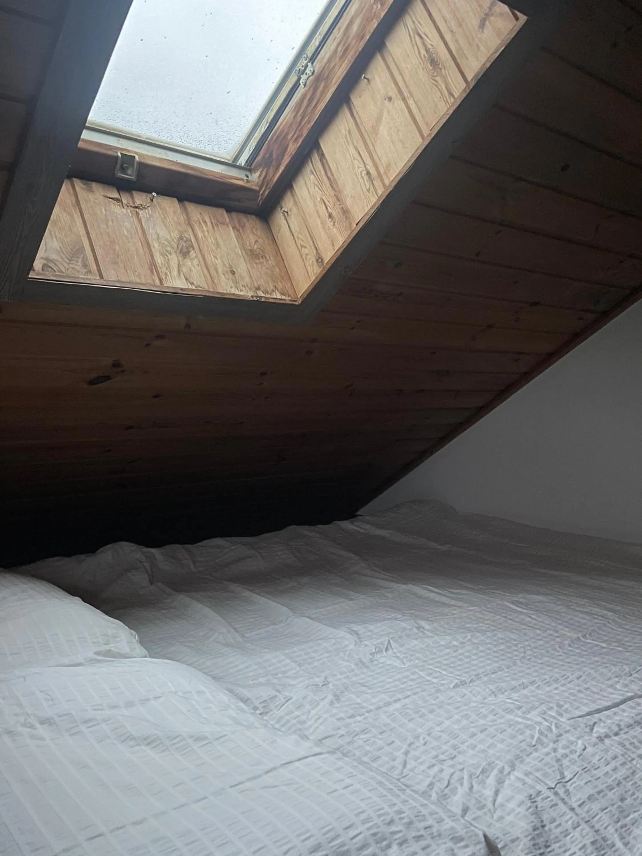 Bedroom, Bed in Honey Bear Pension