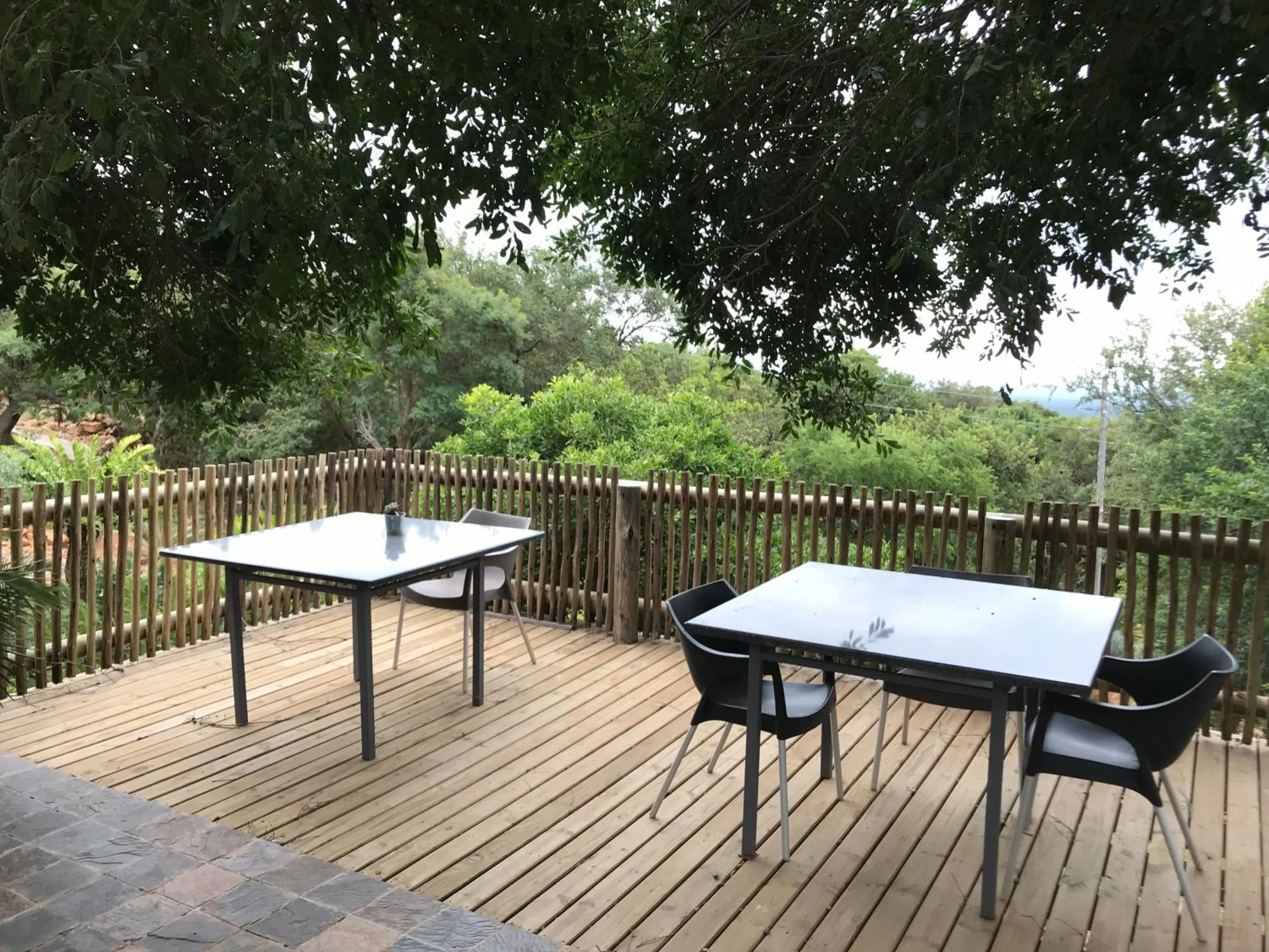 Balcony/Terrace in Amafu Forest Lodge