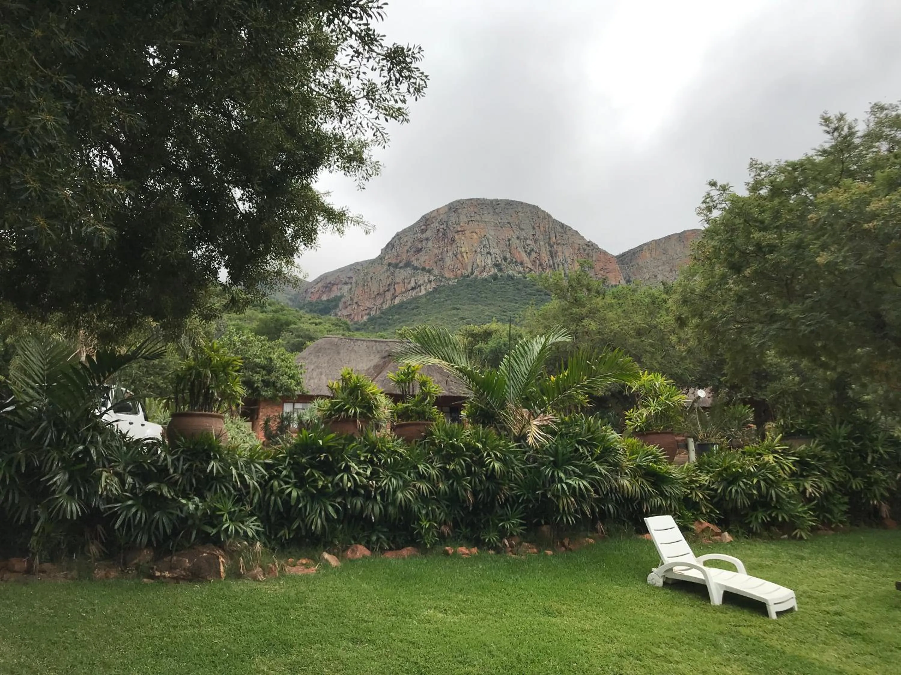 Natural landscape in Amafu Forest Lodge