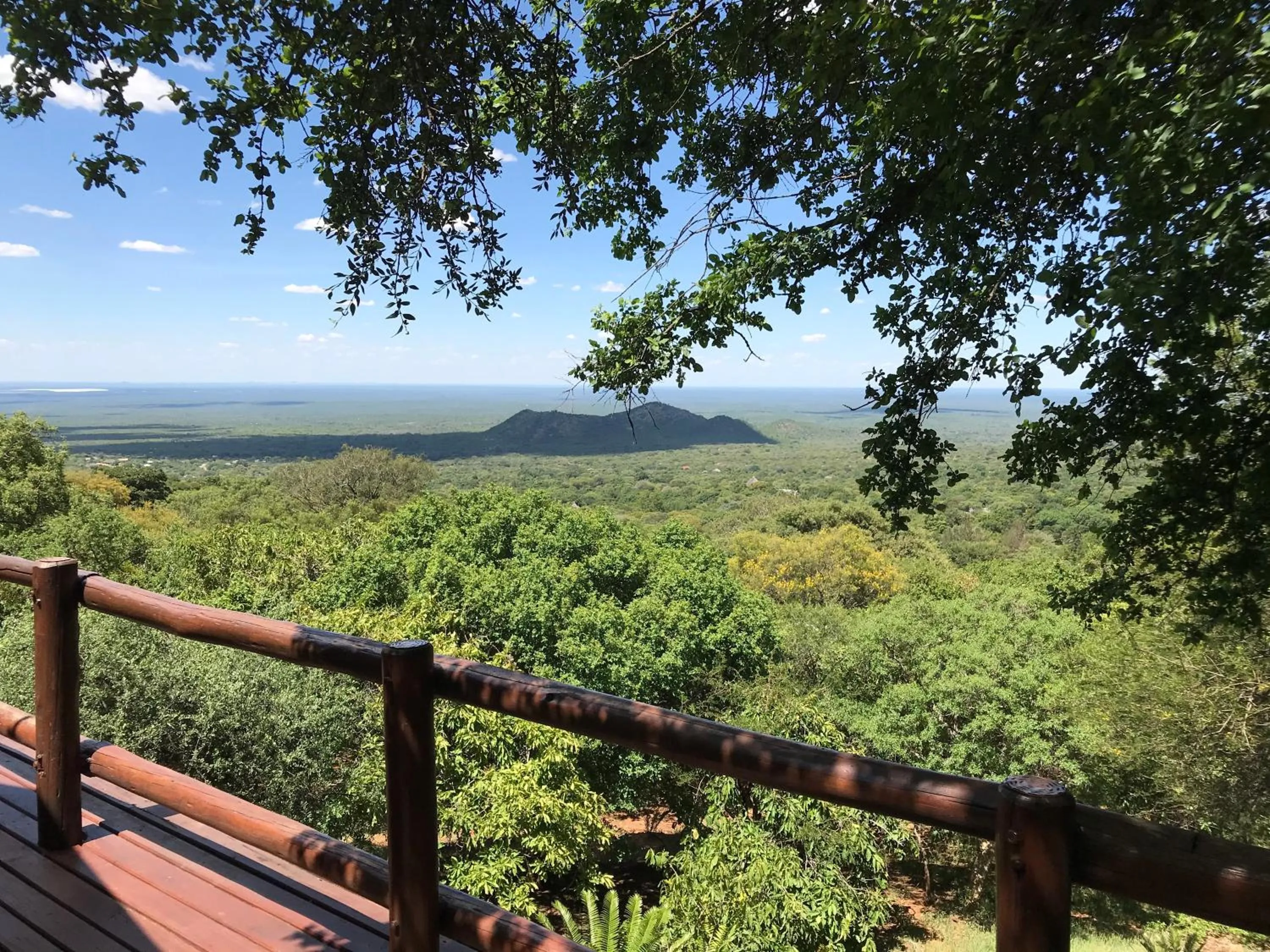 Natural landscape in Amafu Forest Lodge