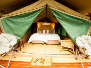 Bed in Amafu Forest Lodge