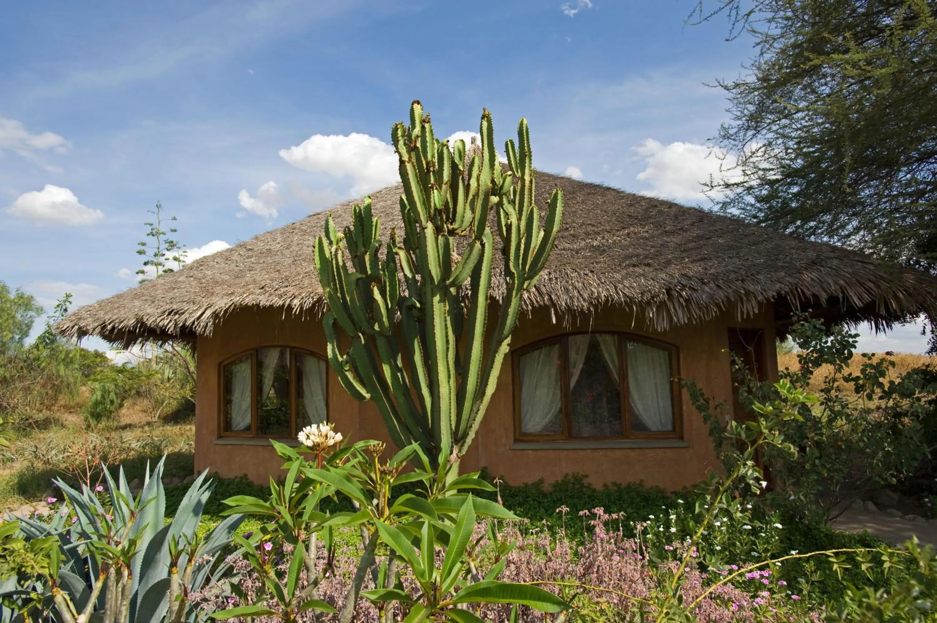 Property building in Kia Lodge