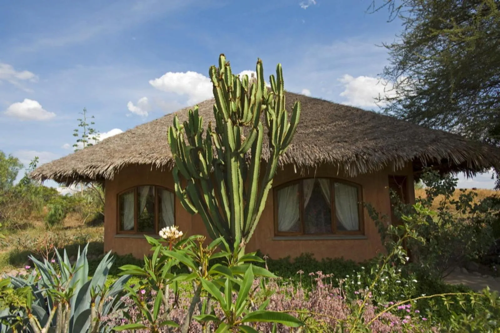 Property building in Kia Lodge