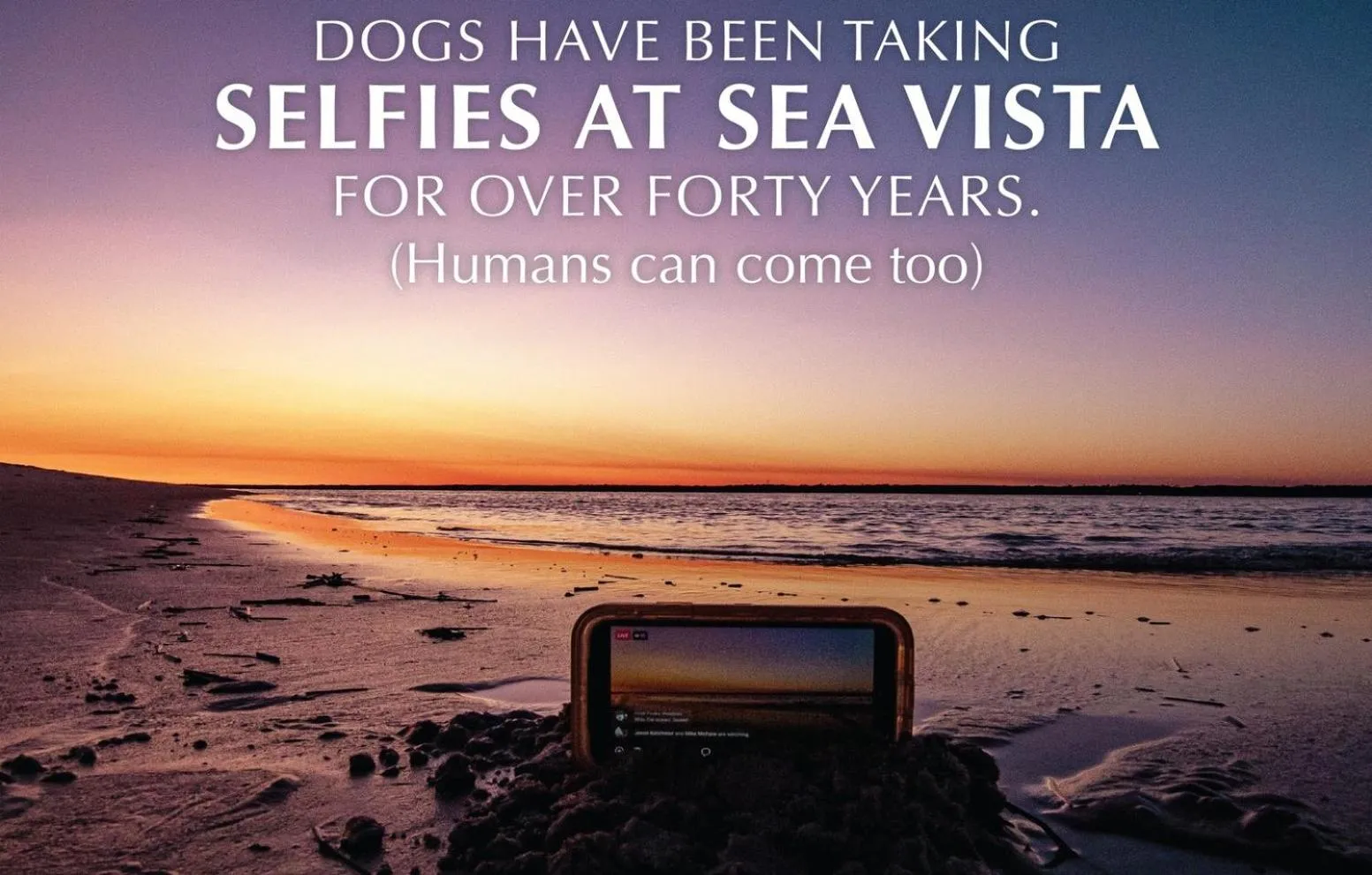 Natural landscape in Sea Vista Motel