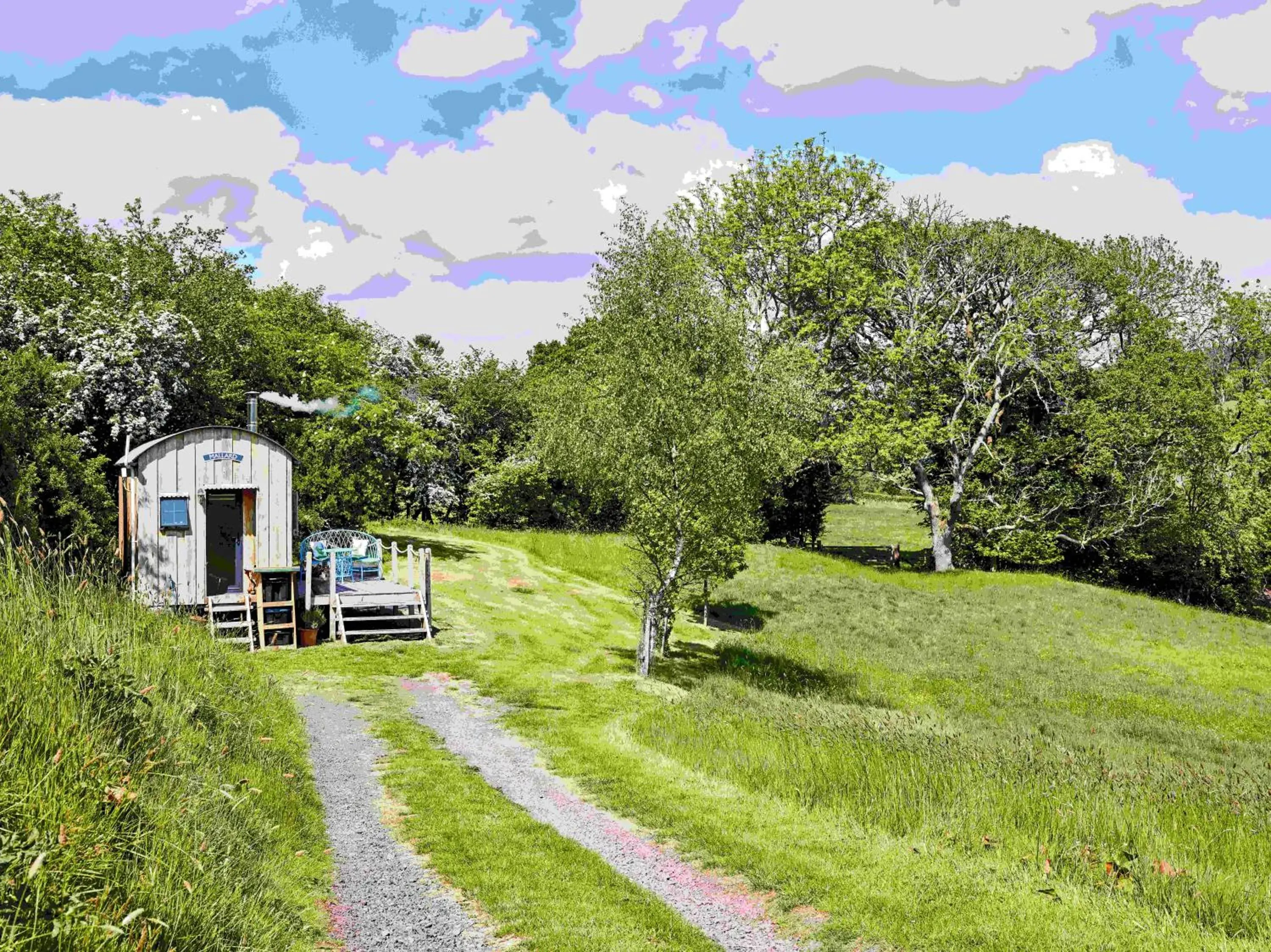 The Mallard Shepherd's Hut with Hot Tub The Mallard Shepherd's Hut with Hot Tub