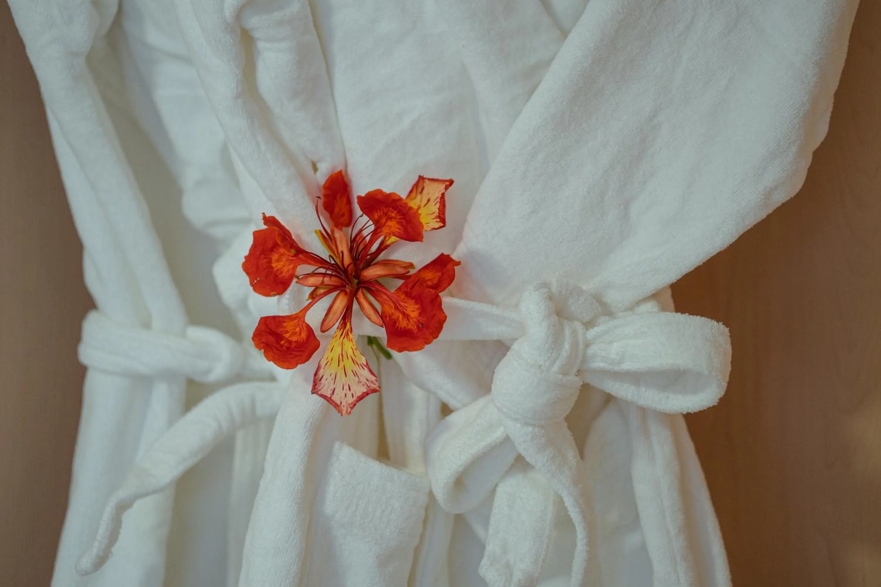 Decorative detail in Pousada Mansão da Costa