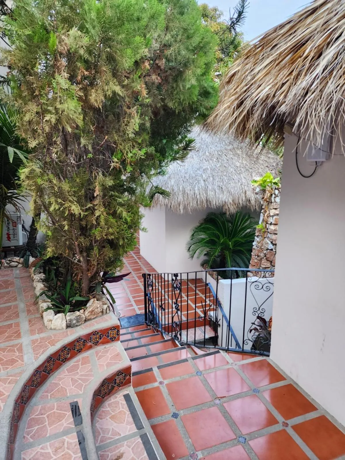 Patio in Esencia Puerto Escondido