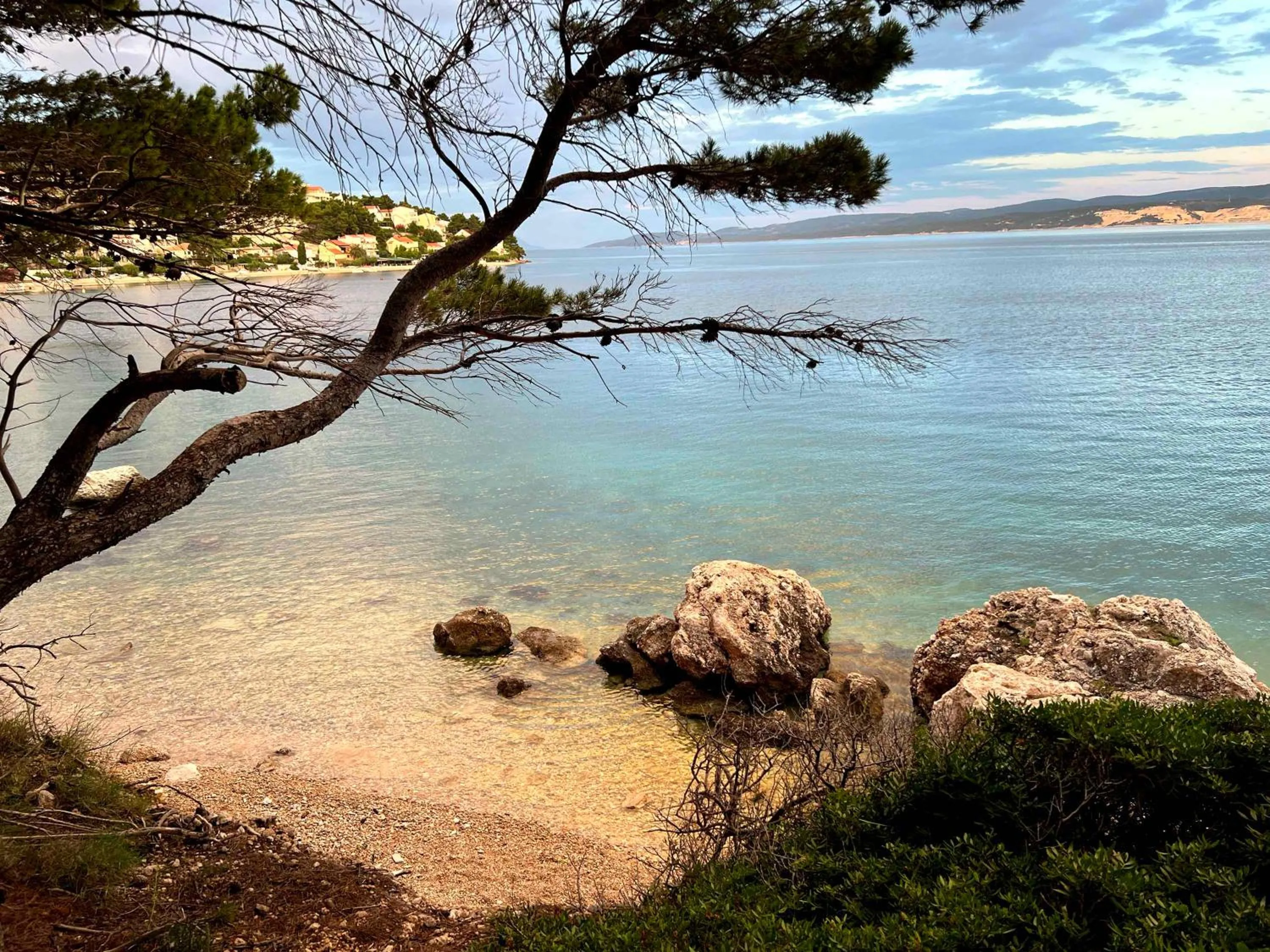 Beach in Apartments Domani