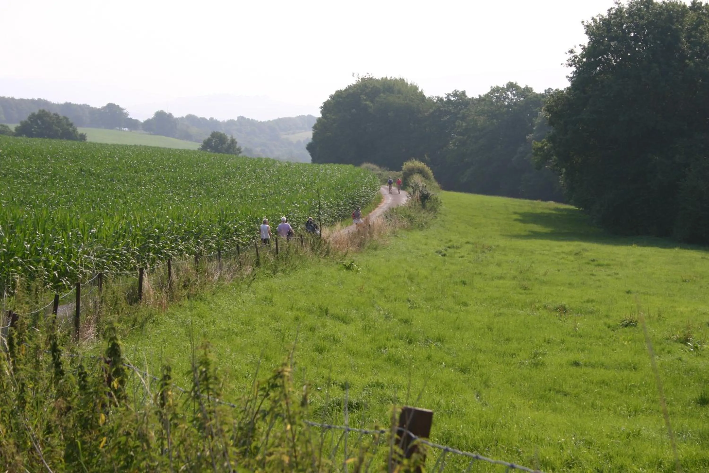 Area and facilities in B&B Oa6 Casa