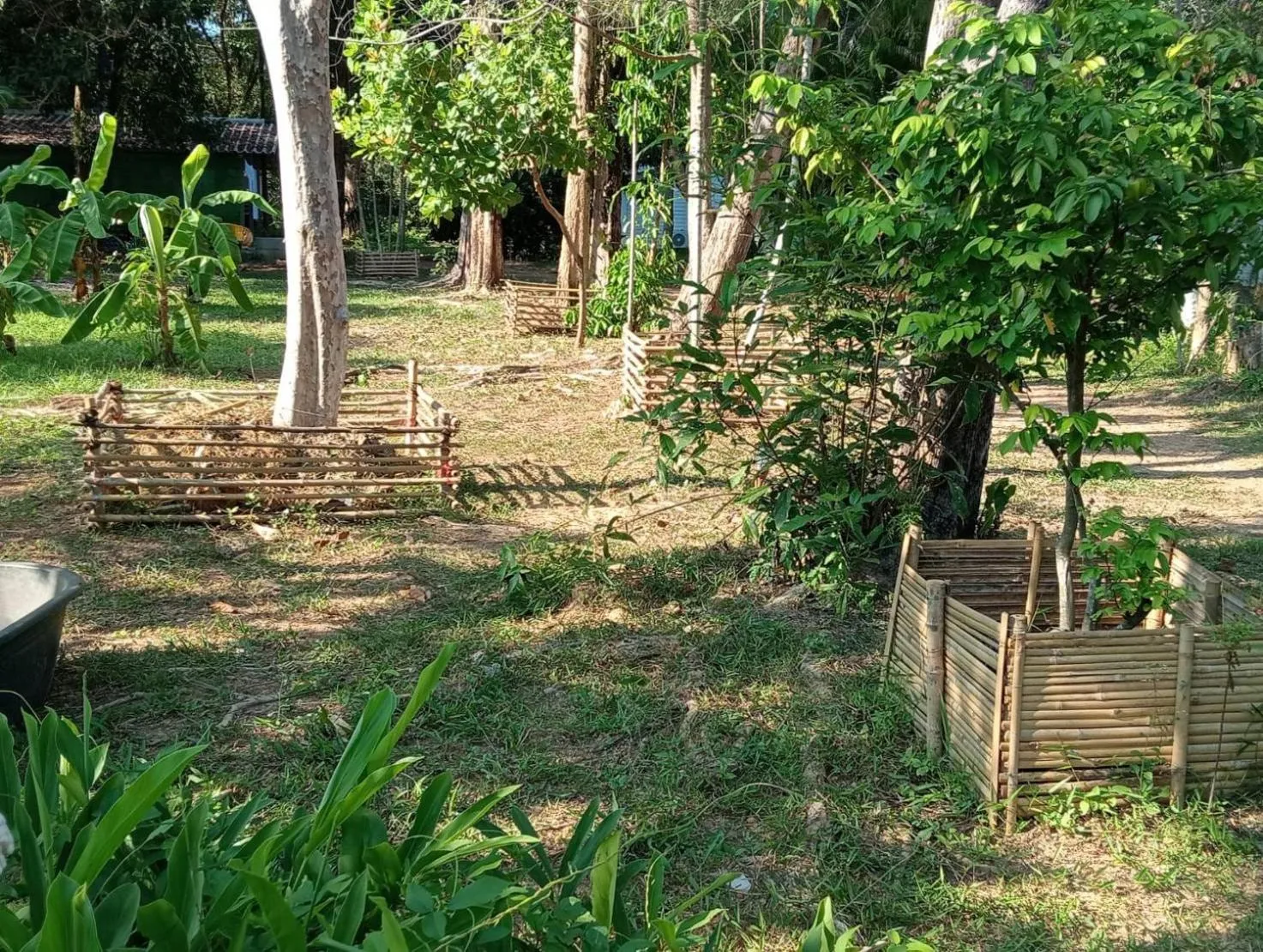 Garden in The River Retreat Koh Mak