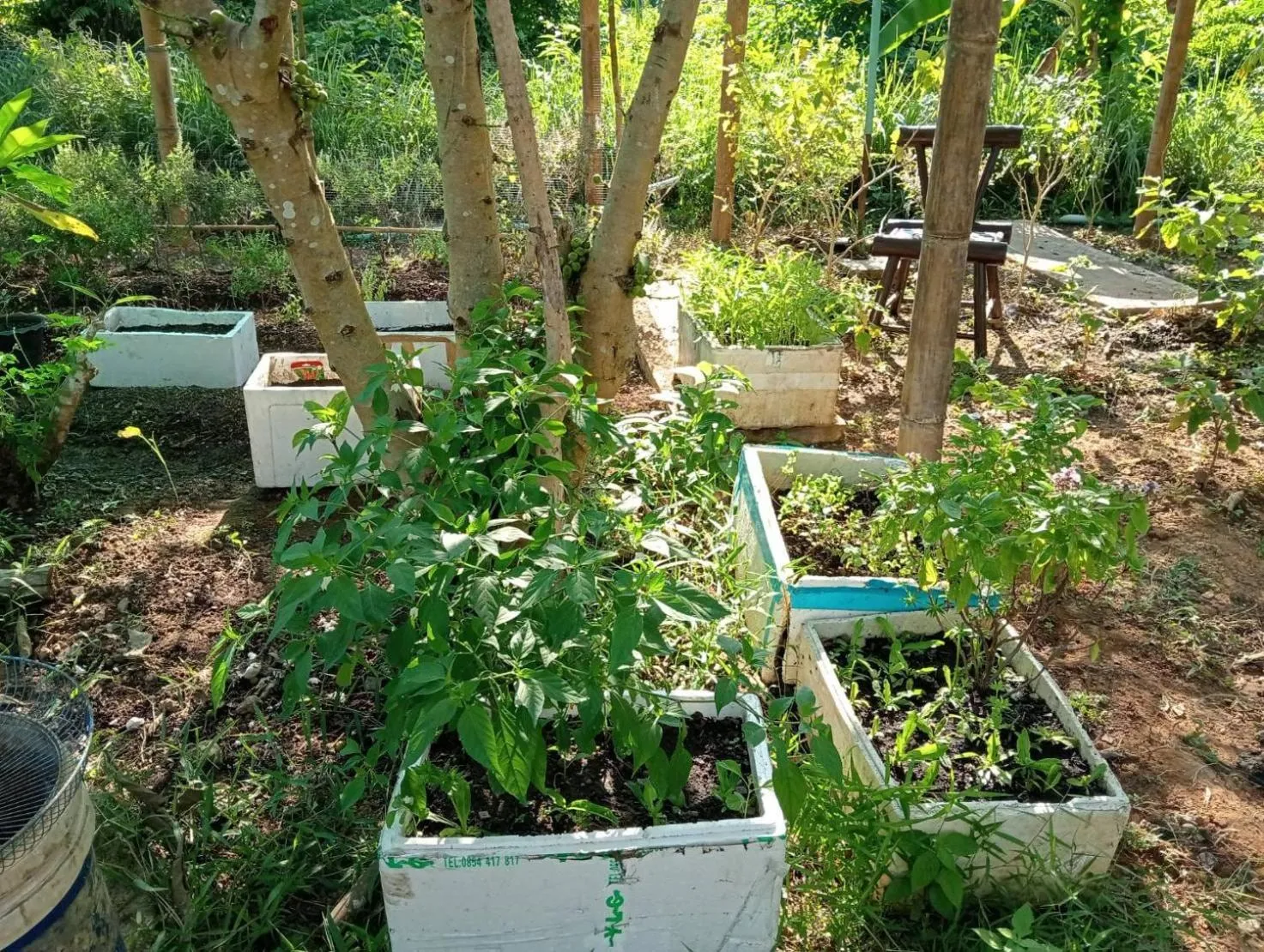 Garden in The River Retreat Koh Mak