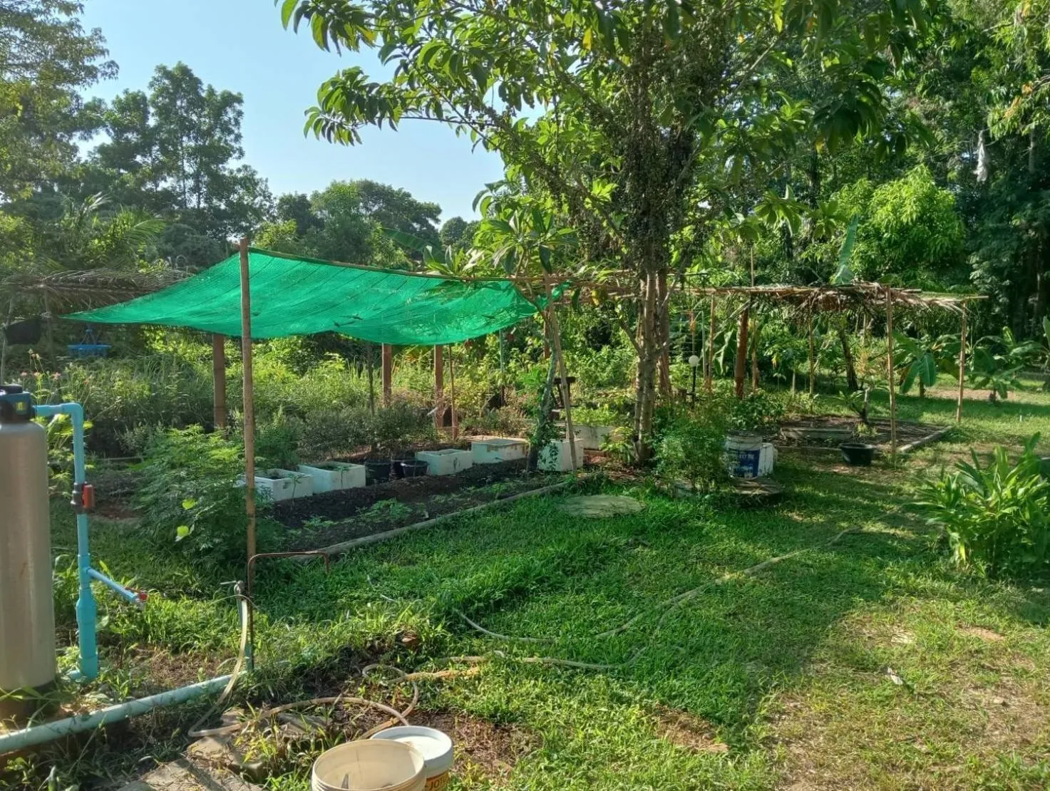 Garden in The River Retreat Koh Mak