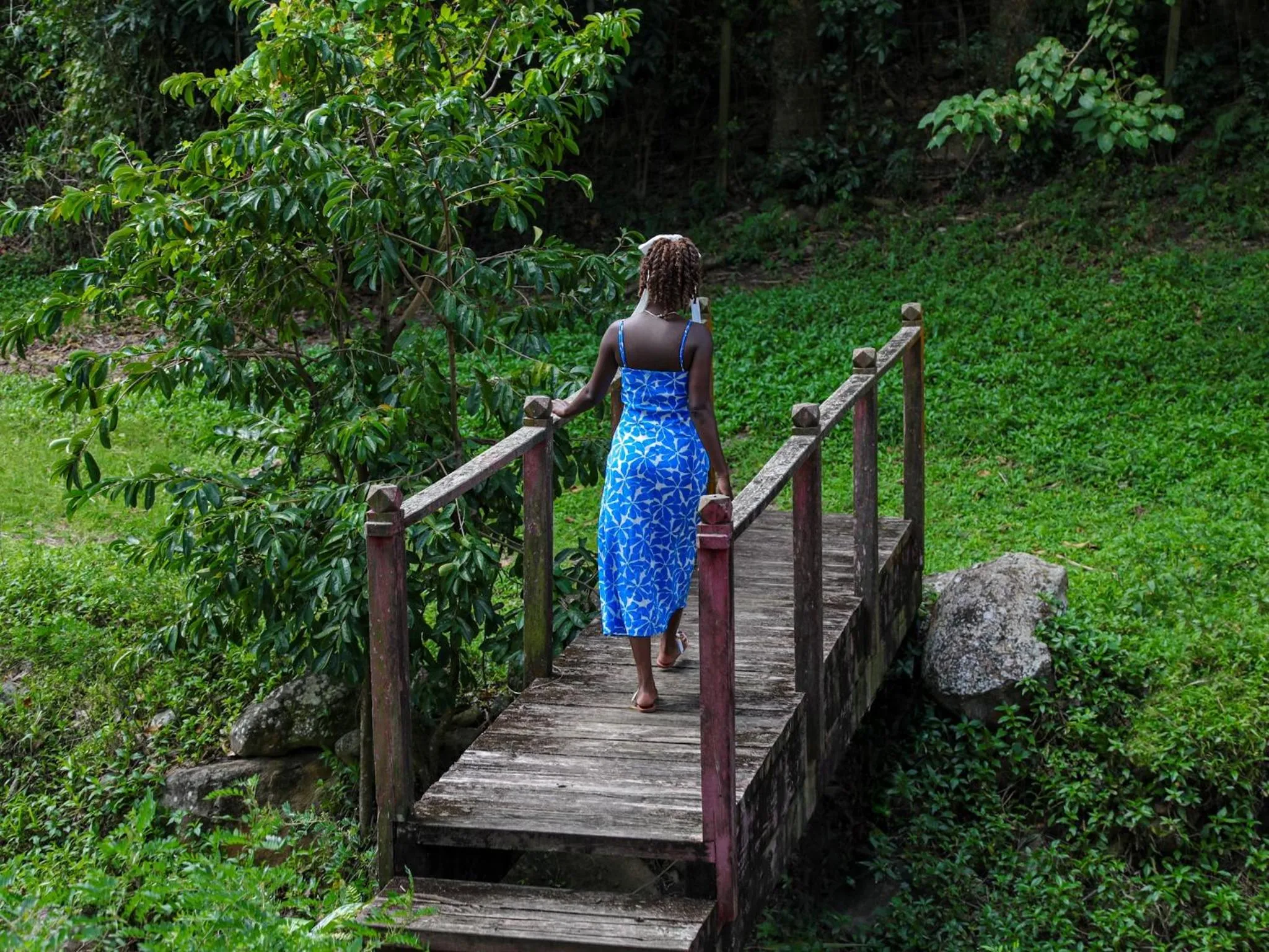 Garden in Hermitage Nevis