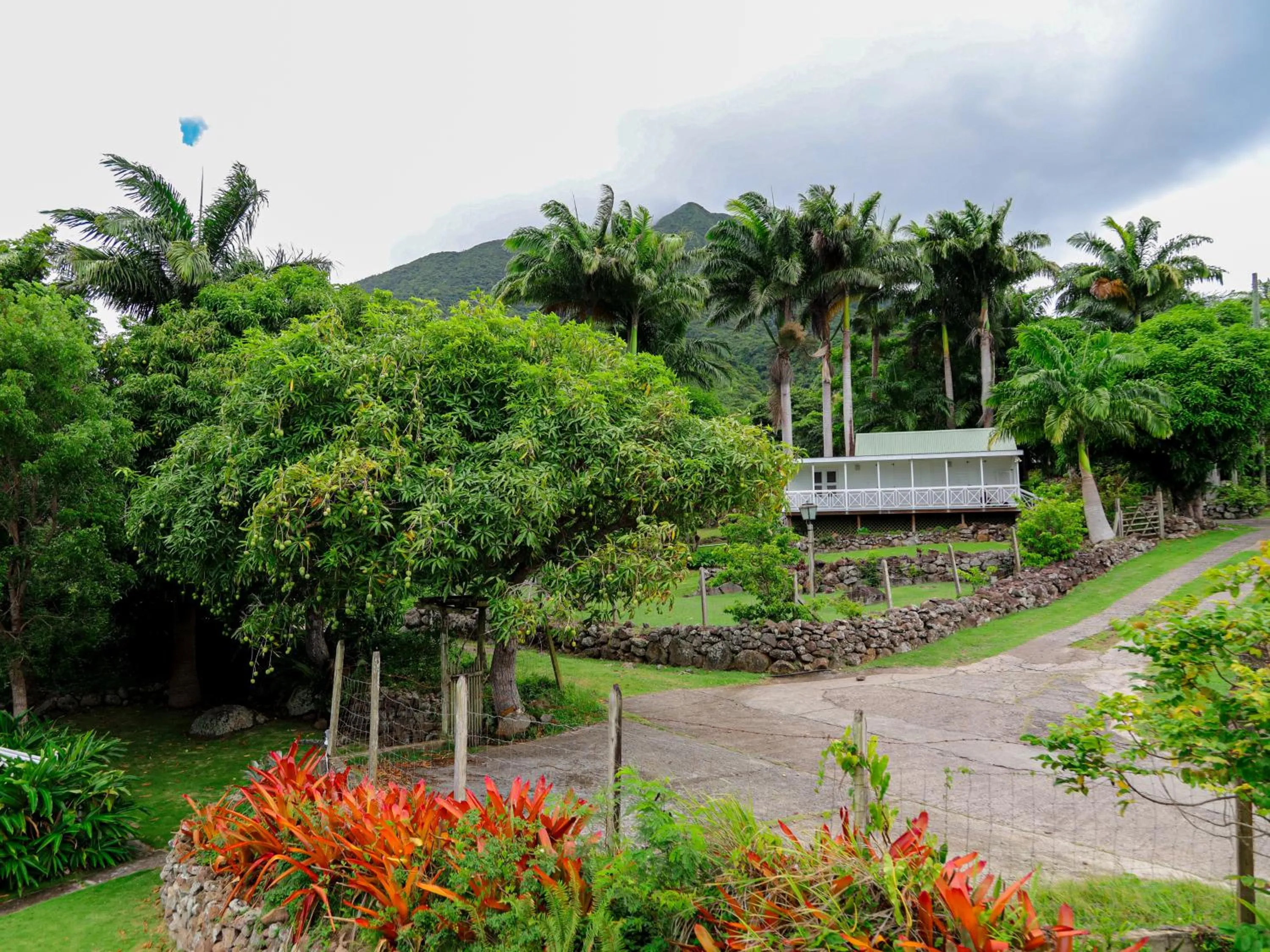 Natural landscape in Hermitage Nevis