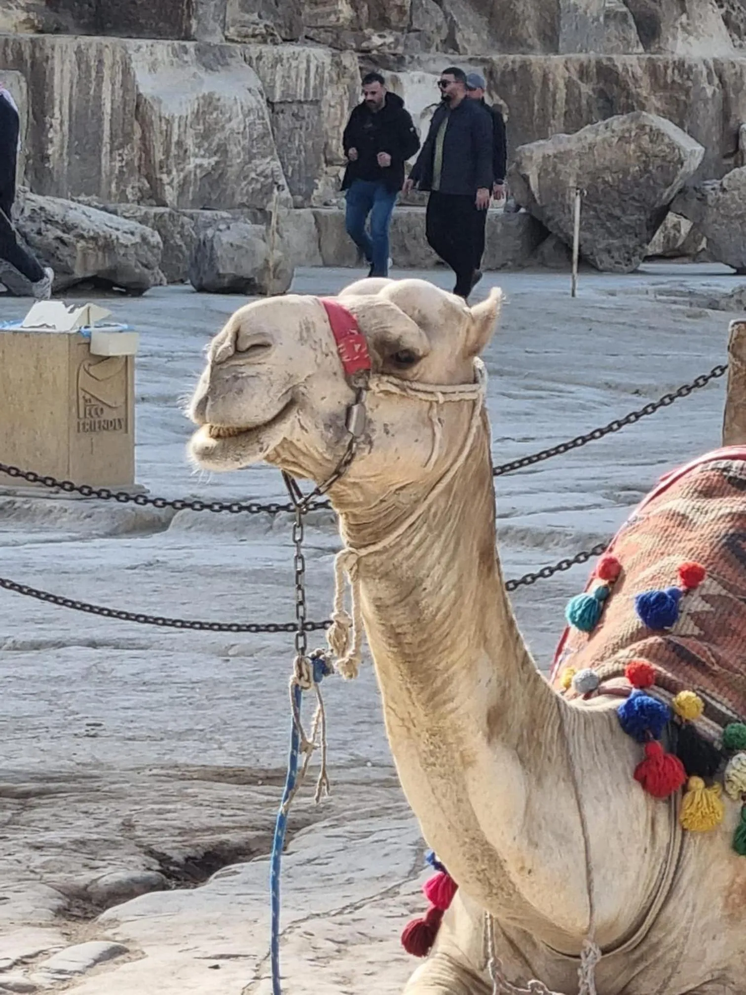 People in Chez l'ami hotel