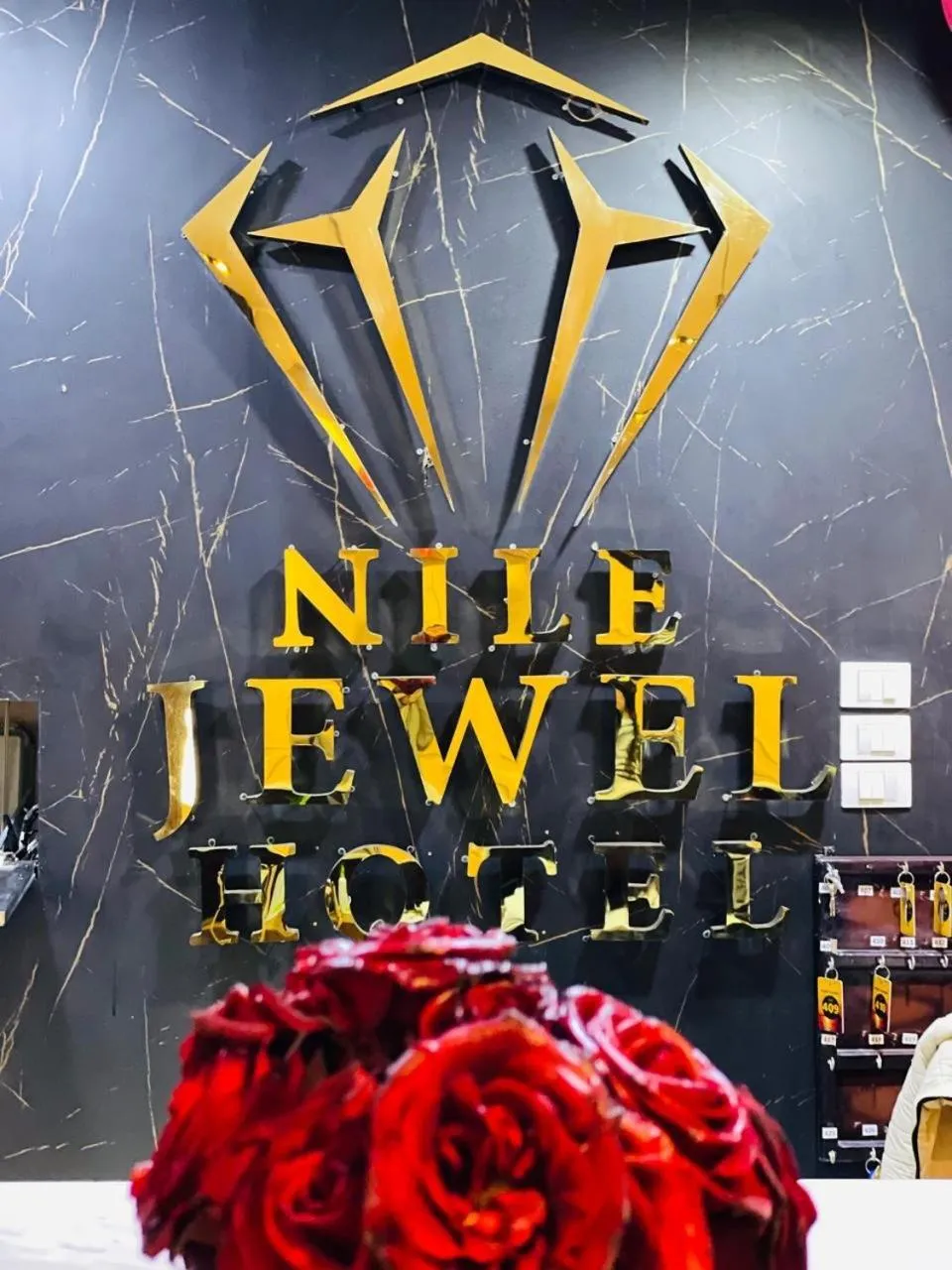 Nile jewel hotel beni suef