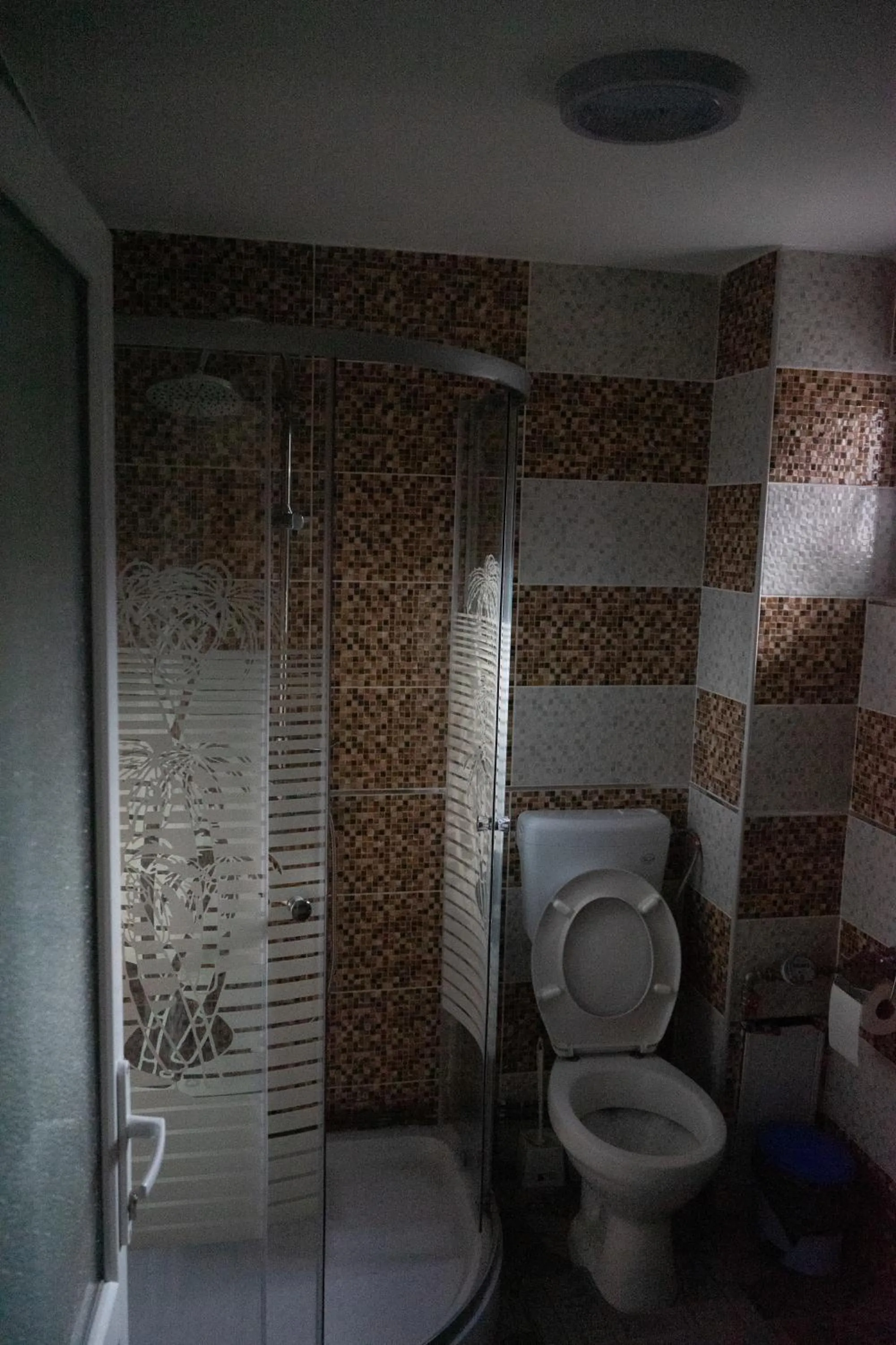 Shower in Casa Calin
