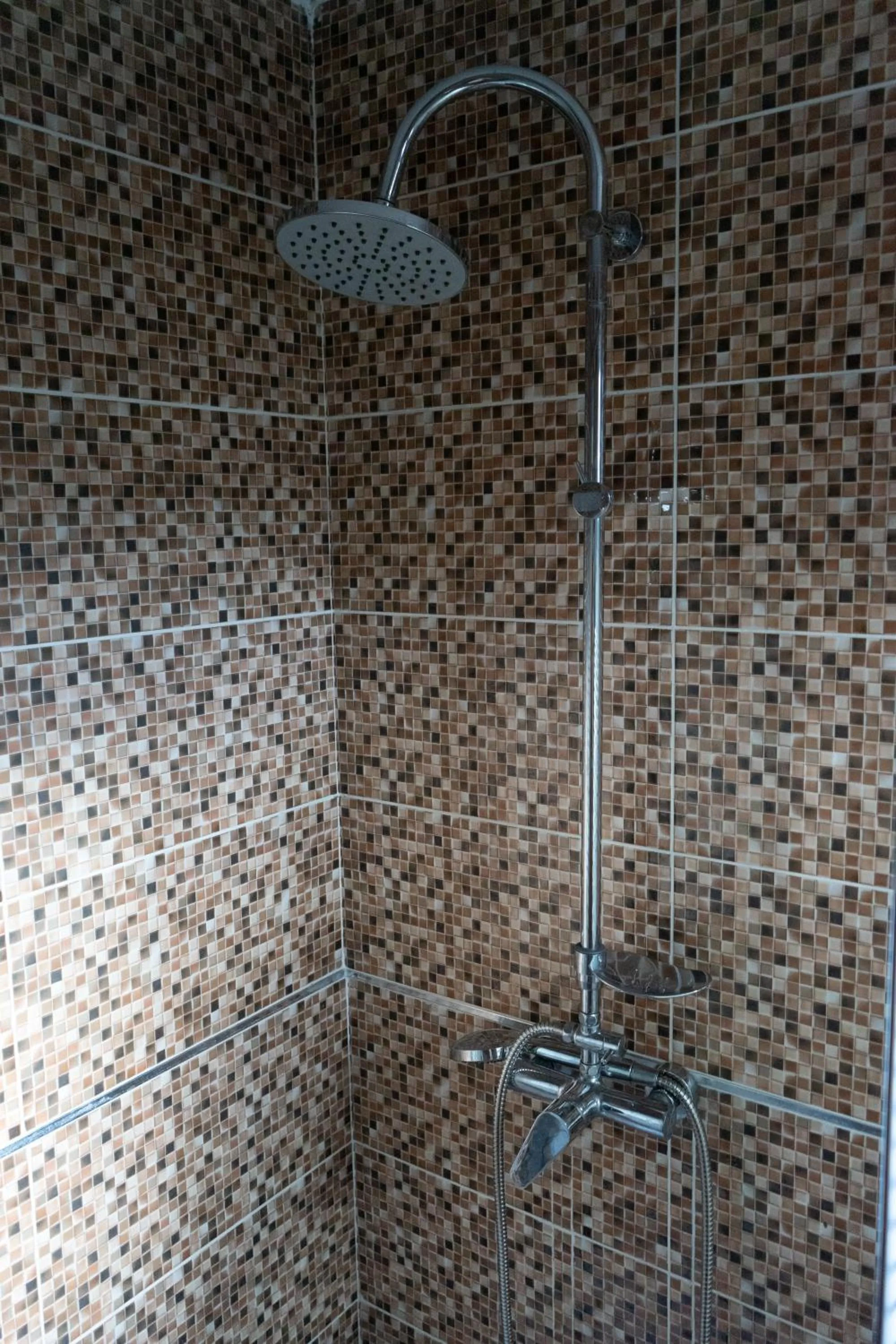 Shower in Casa Calin