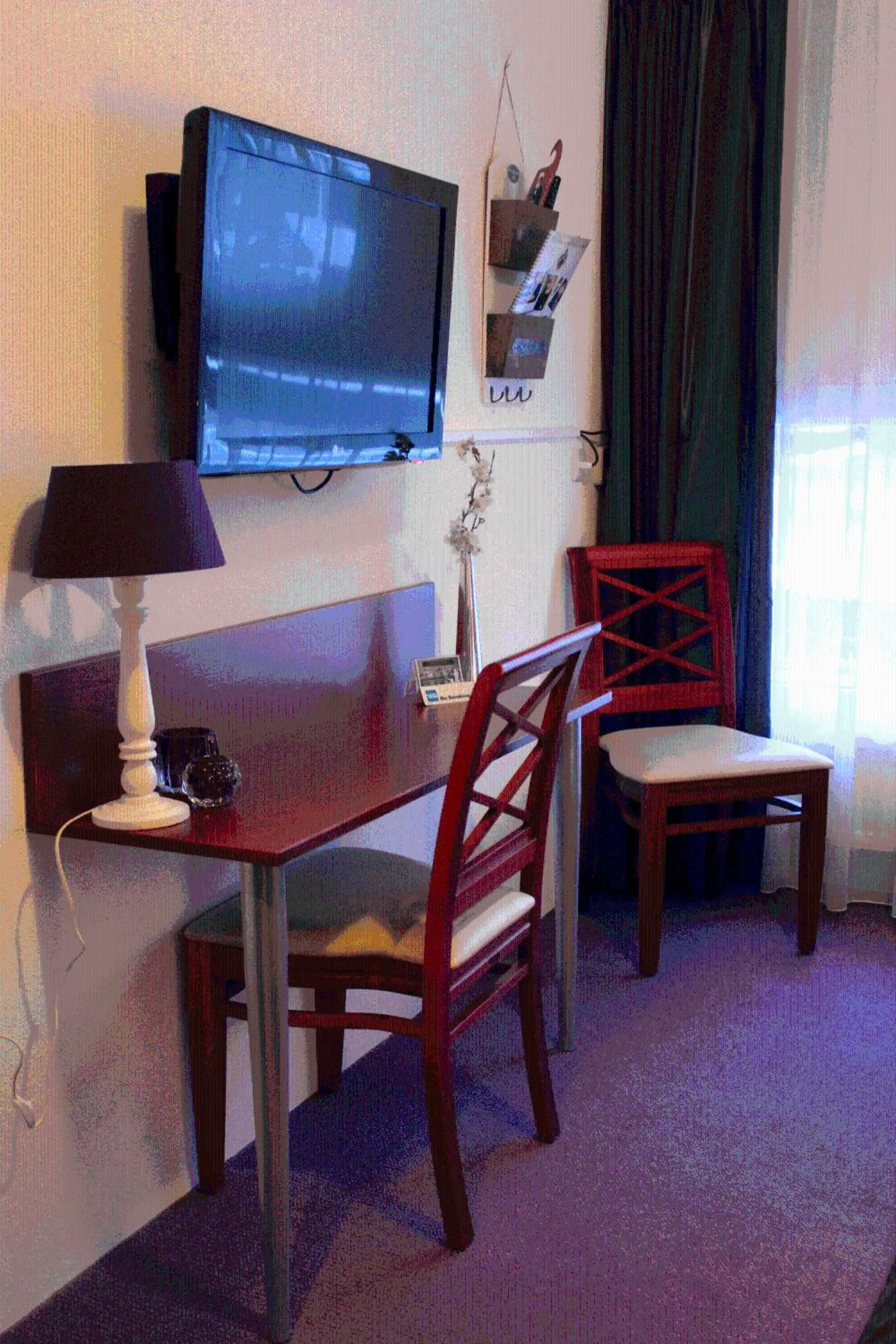 TV and multimedia in Parkhotel Hugo de Vries