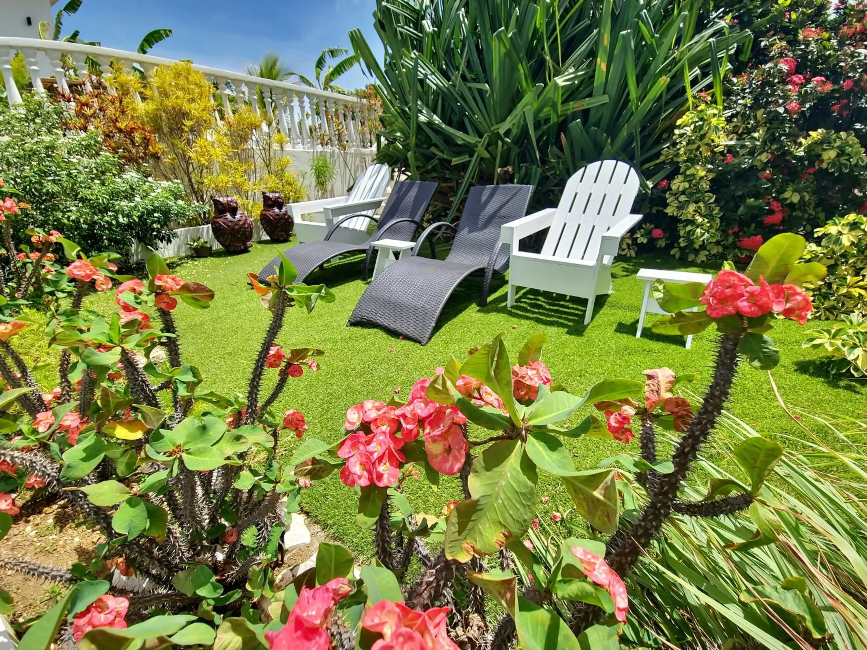 Garden in Adonai Hotel Boutique