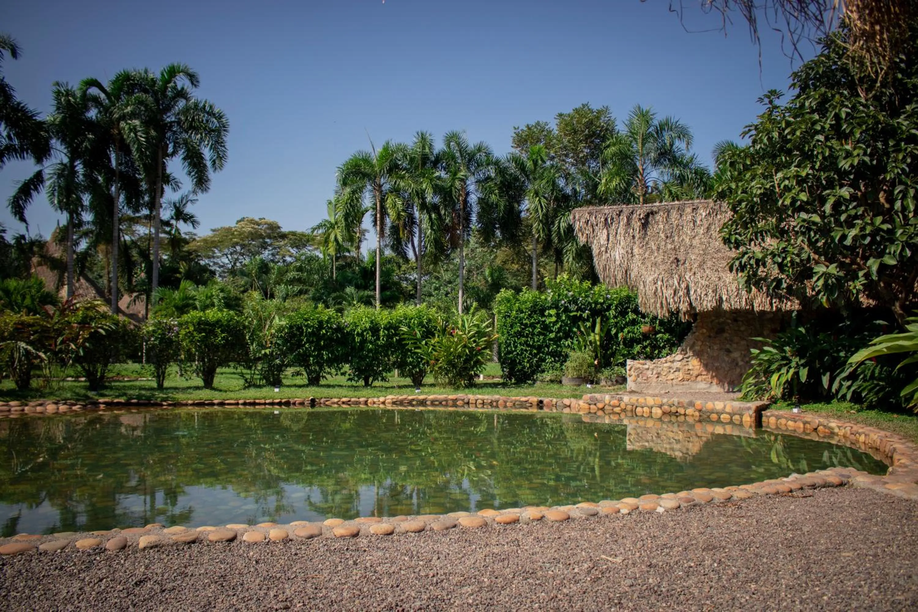 Swimming pool in Ecolodge Cosmogénesis