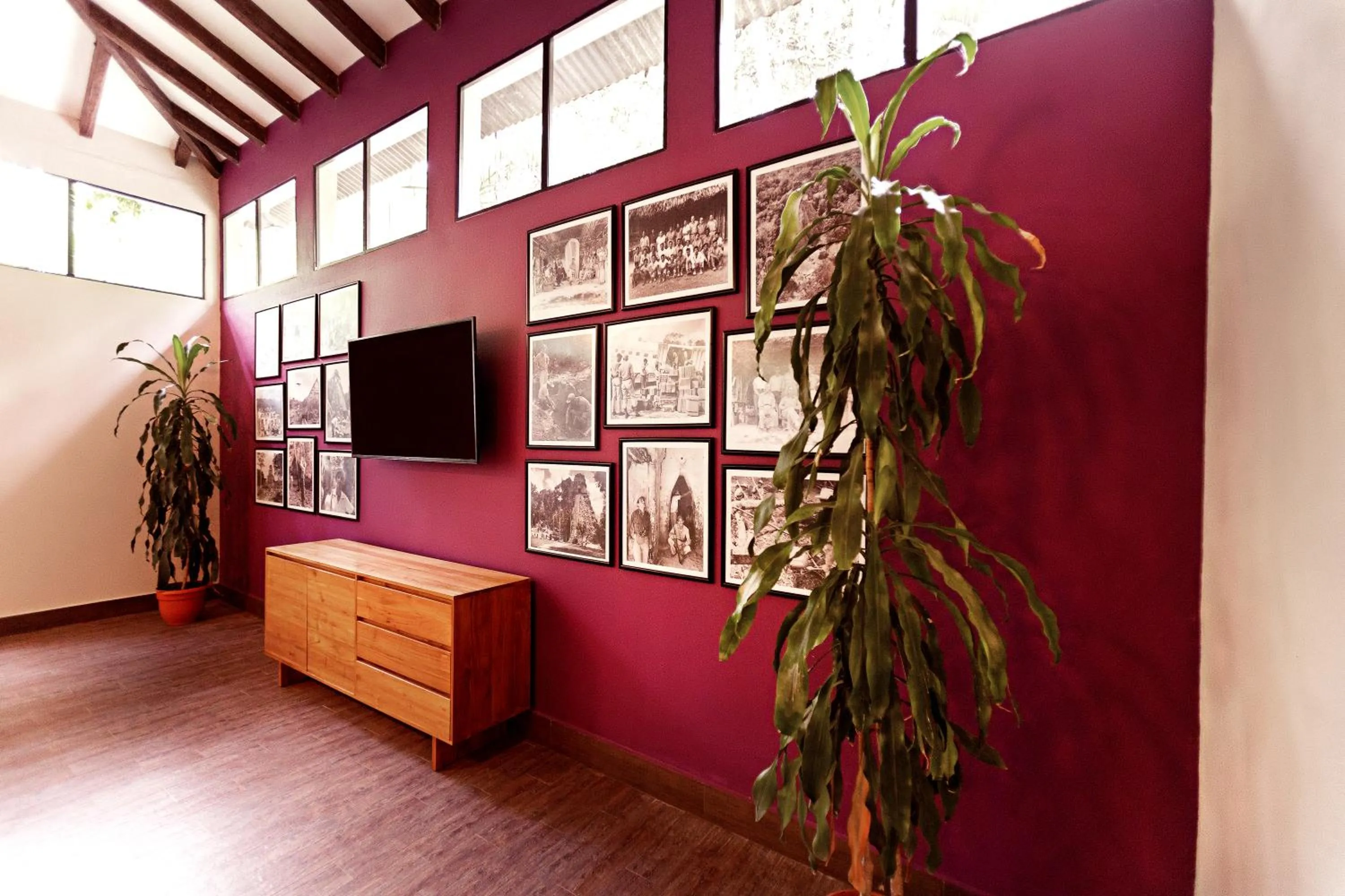 Activities in Jungle Lodge Tikal Hostal