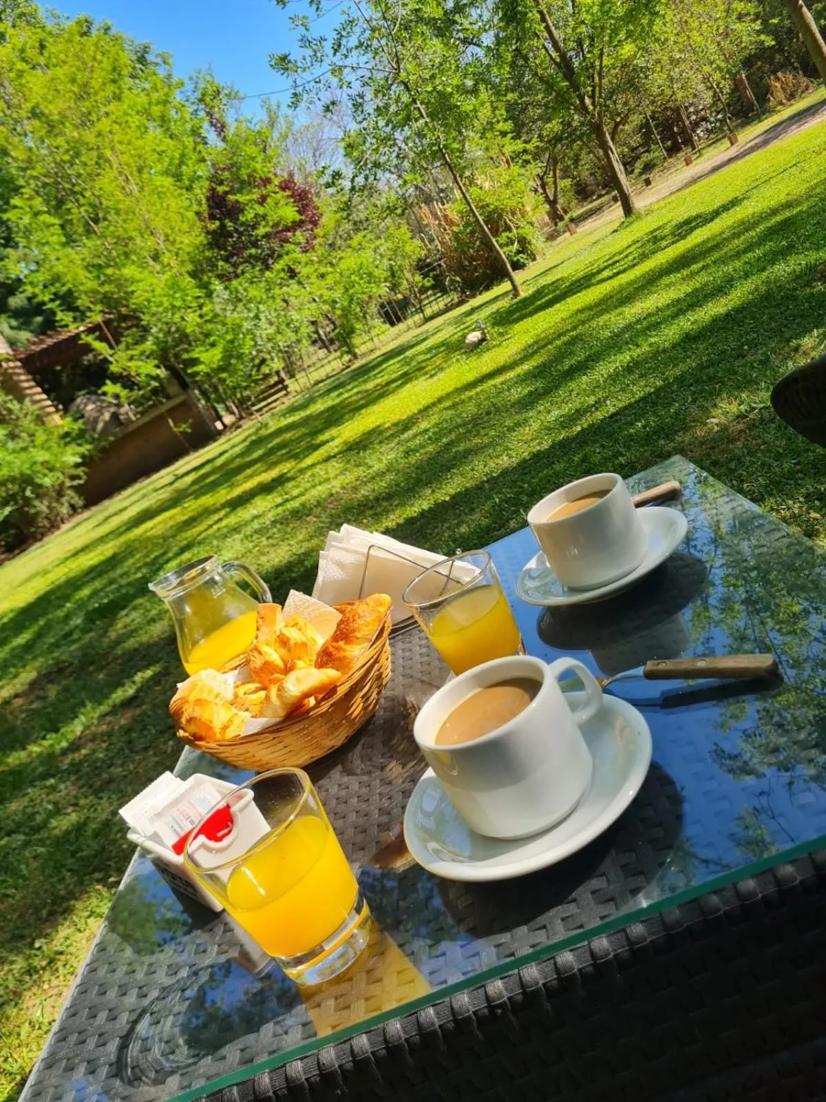 Garden in Portal del Río Posada