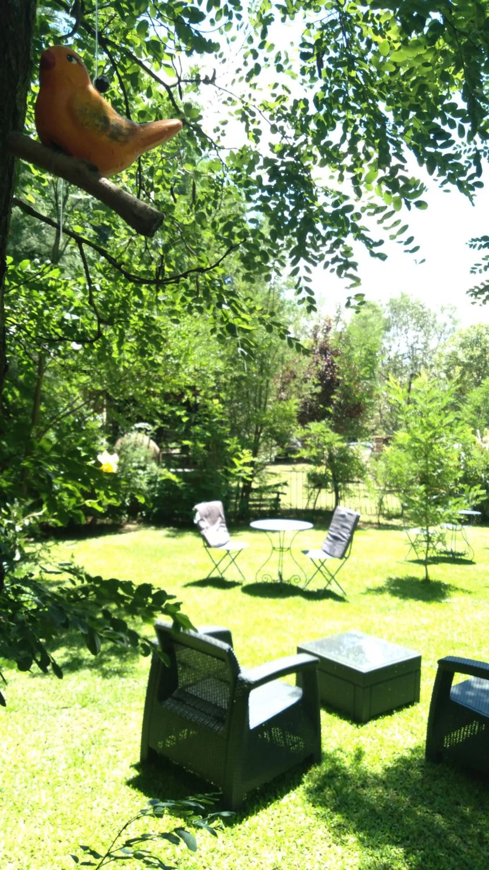 Garden in Portal del Río Posada