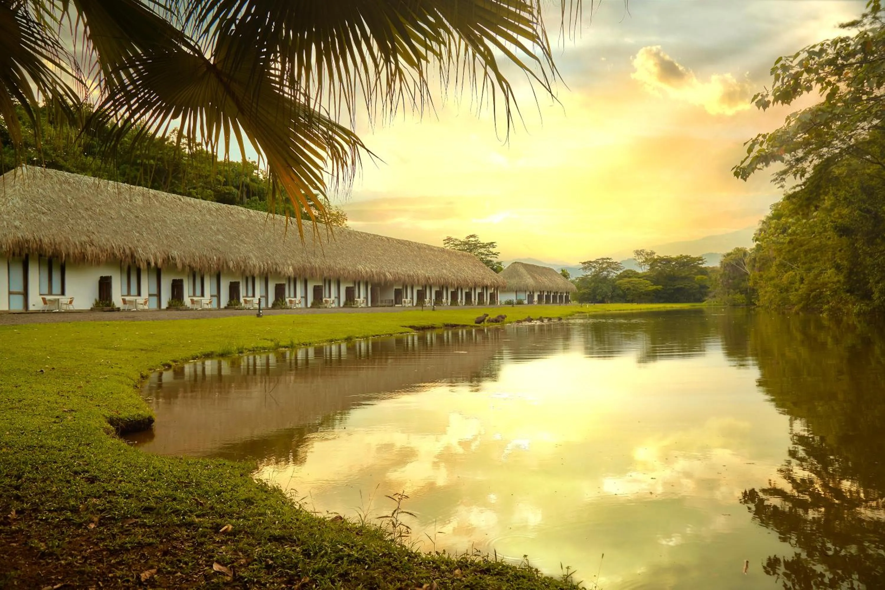 Hotel Reserva de Piedemonte