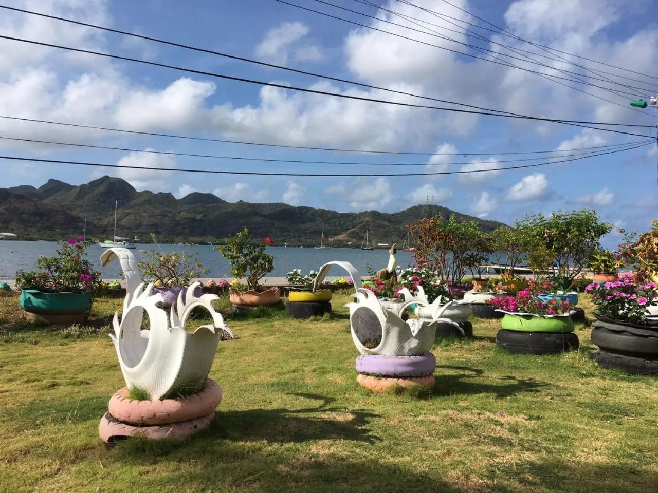 Garden view in Posada Sunshine Paradise