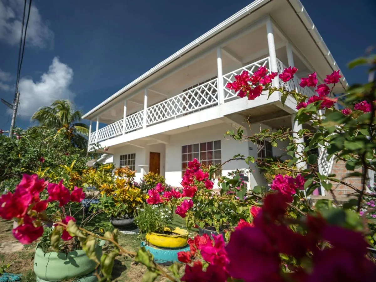 Posada Sunshine Paradise