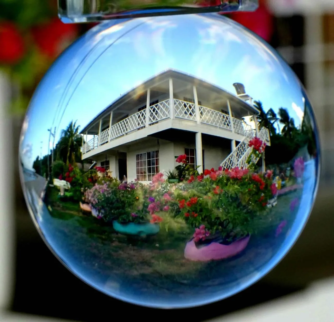 Garden view in Posada Sunshine Paradise
