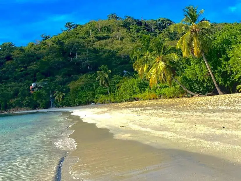 Posada Sunshine Paradise