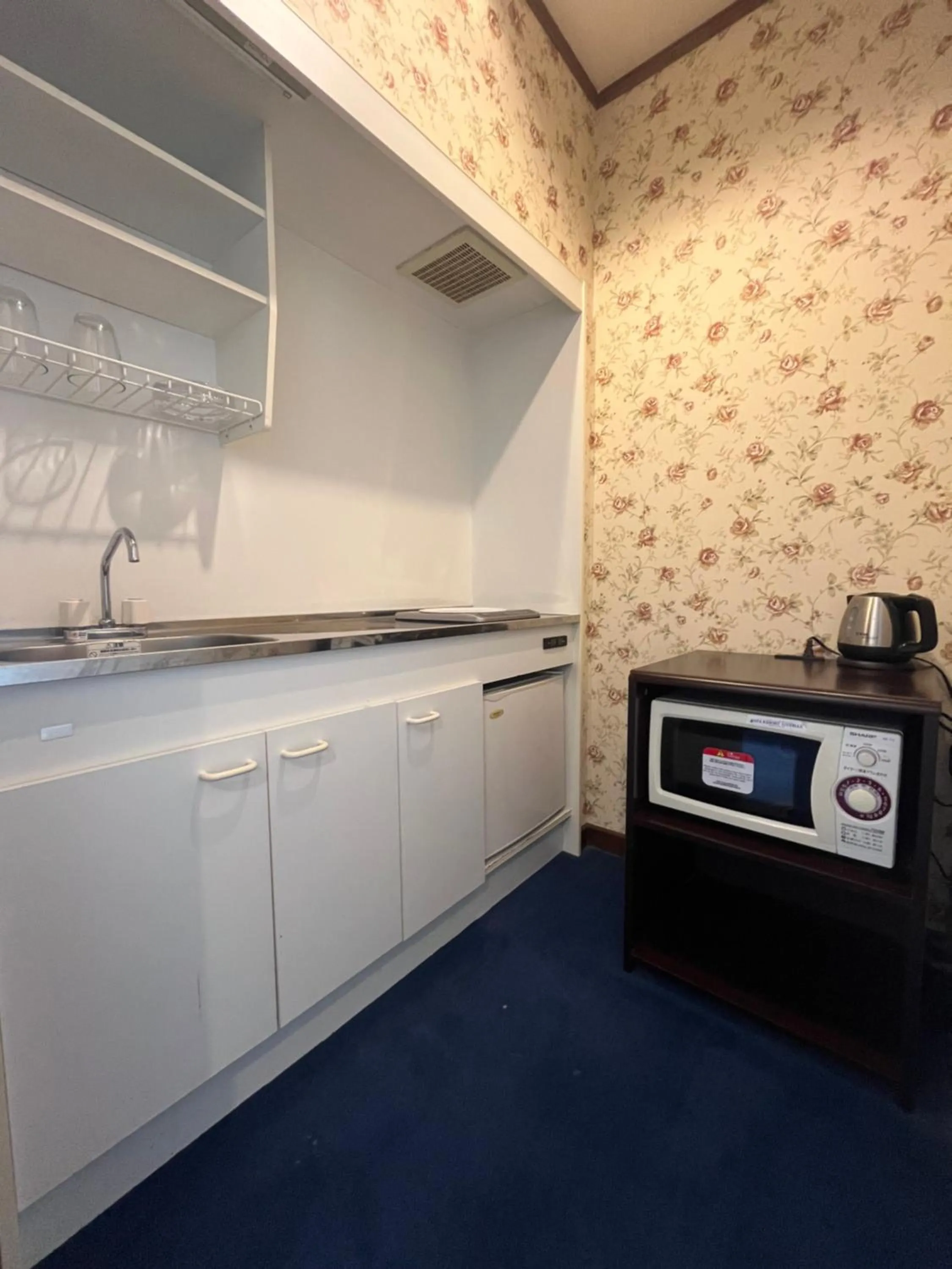Kitchen or kitchenette in Spa Resort LiVEMAX