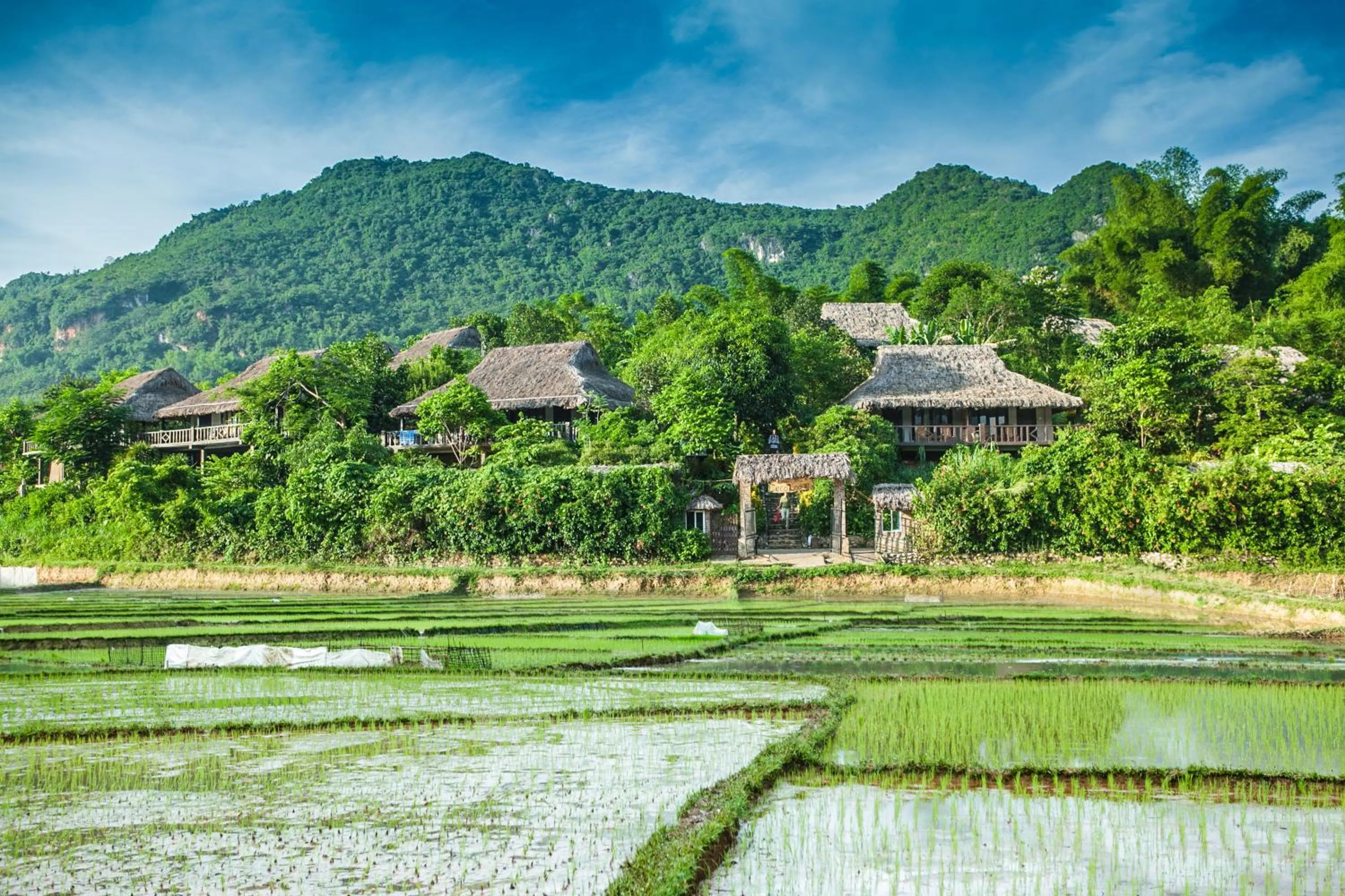 Natural landscape in Mai Chau Ecolodge