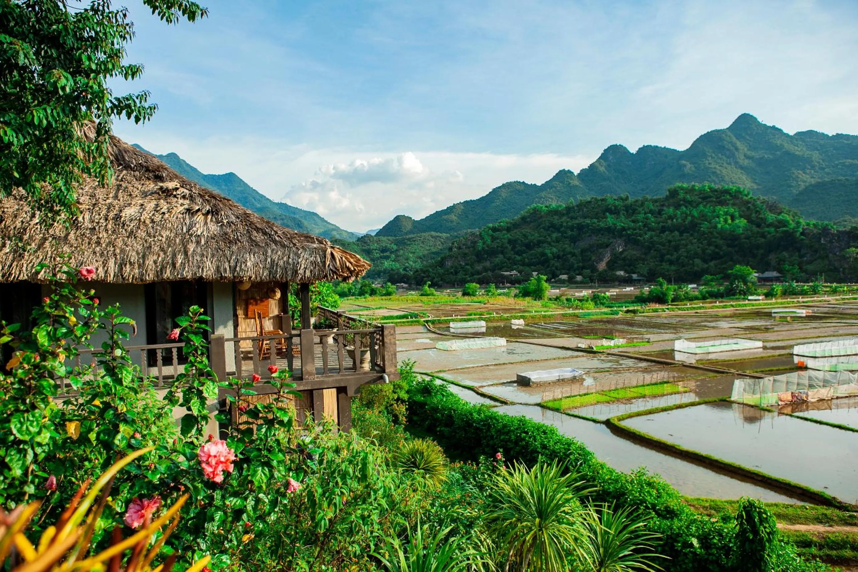 View (from property/room) in Mai Chau Ecolodge