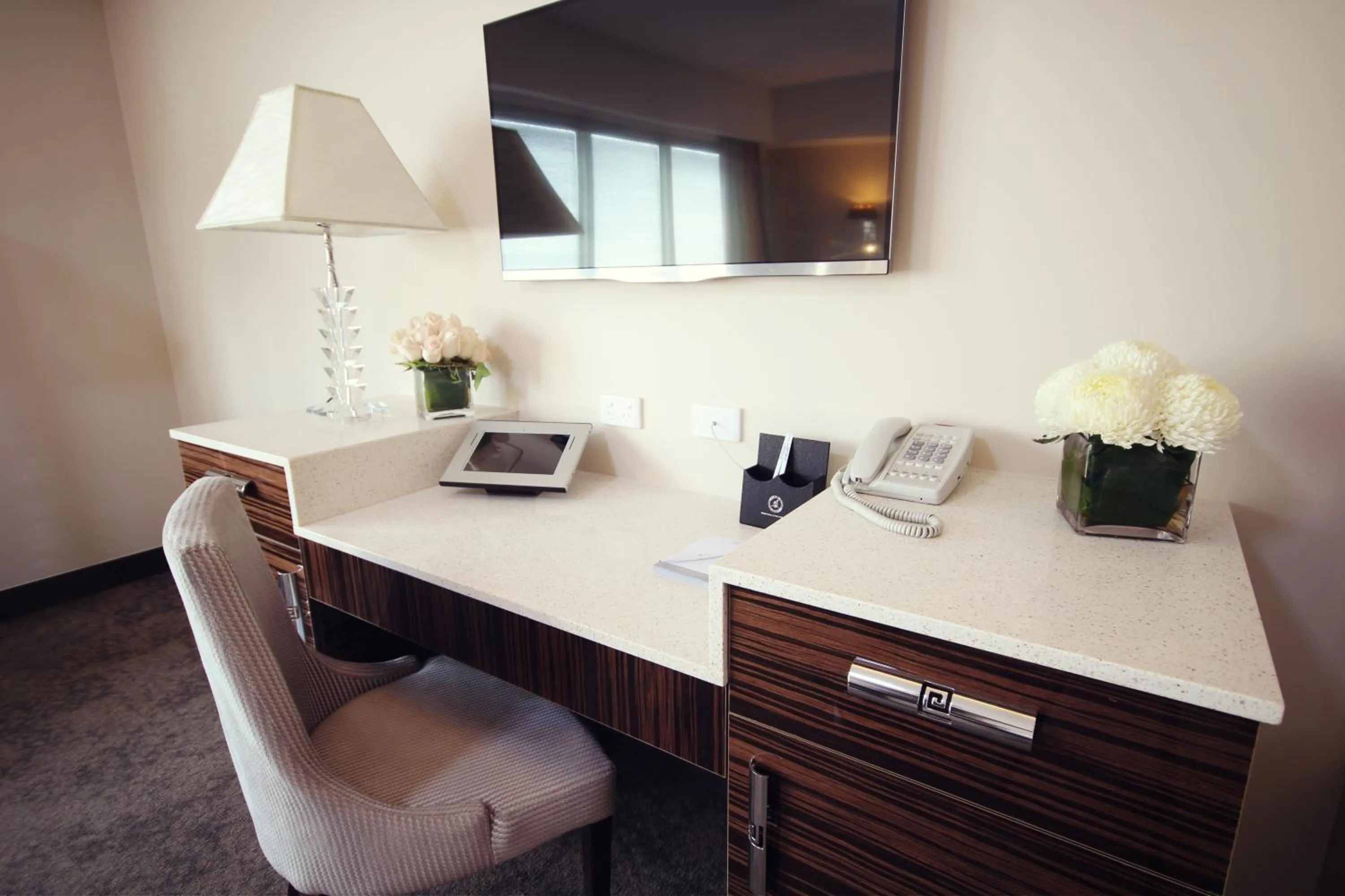 TV and multimedia in Swan River Hotel