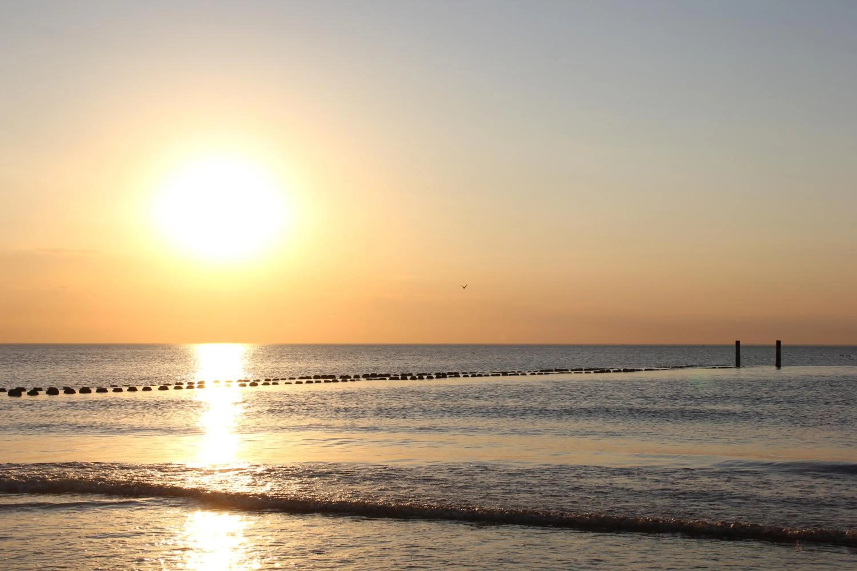 Beach in Hotel Duinlust