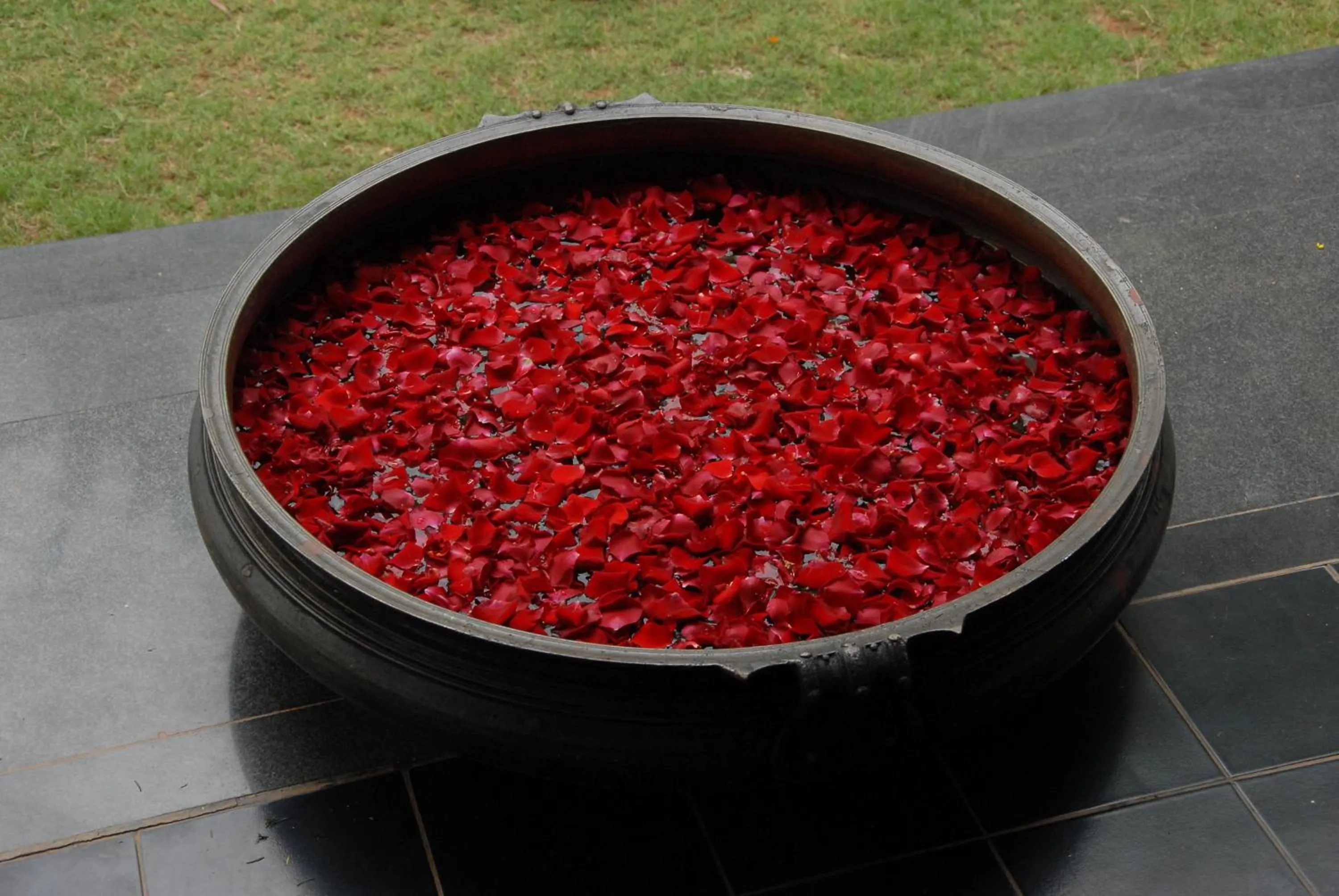 Day in Fantasy Golf Resort