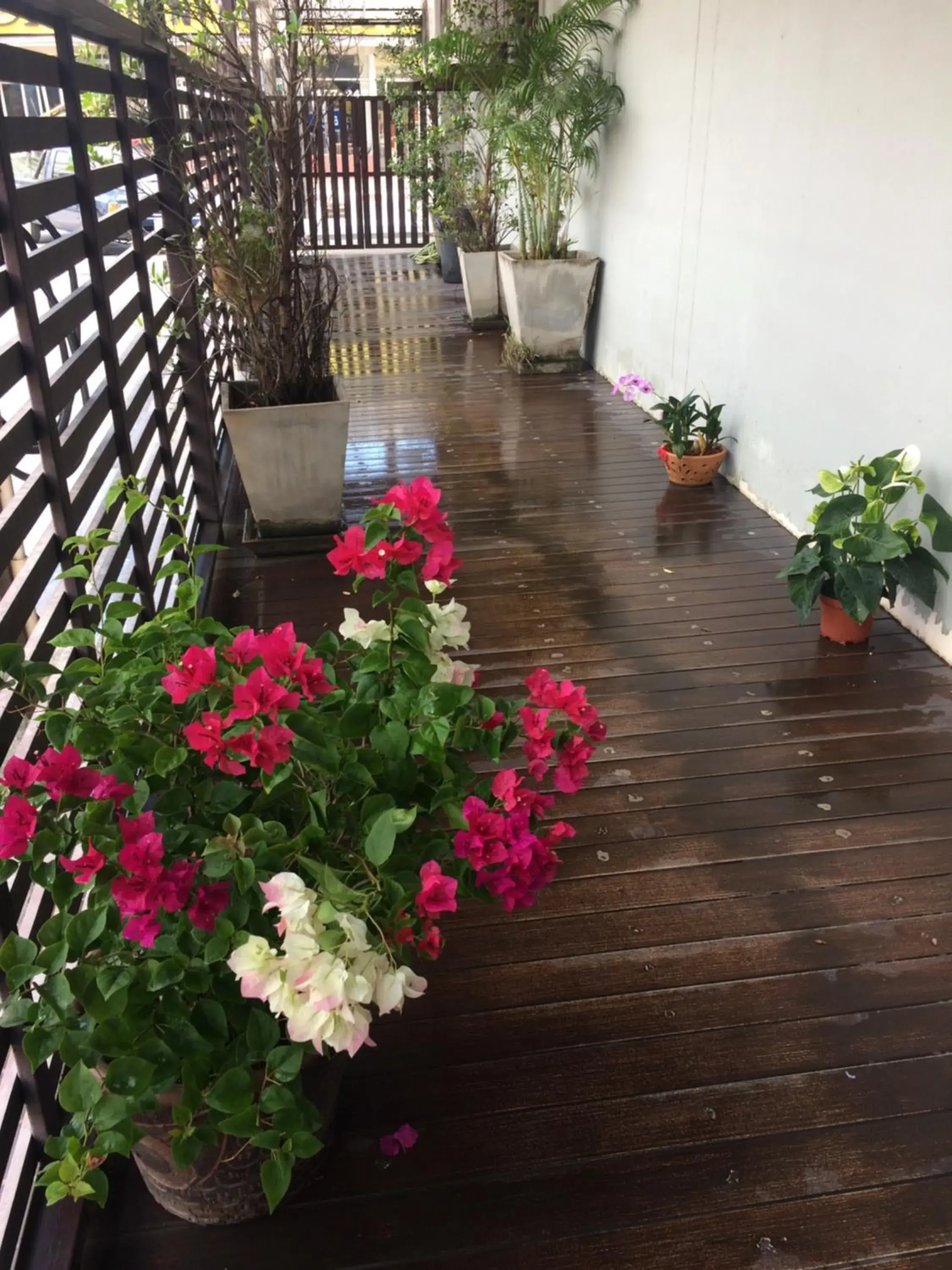 Facade/entrance in My Living Place Samui Facade/entrance in My Living Place Samui