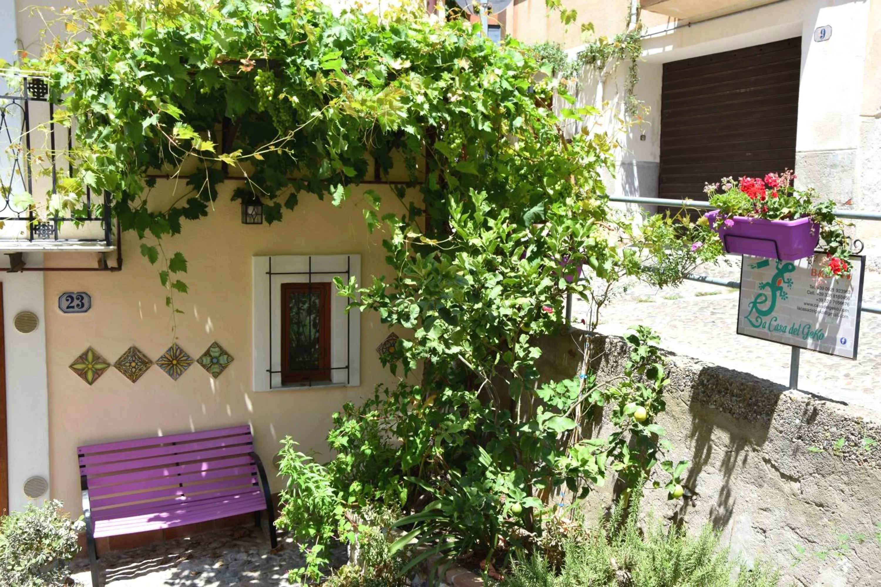 Property building in La Casa del Geko